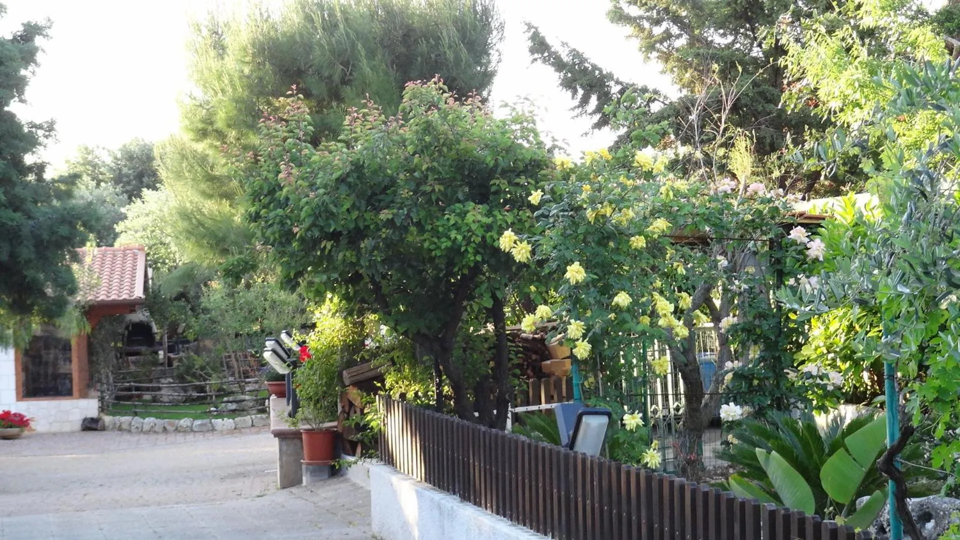 Day in Bed and Breakfast La Casetta