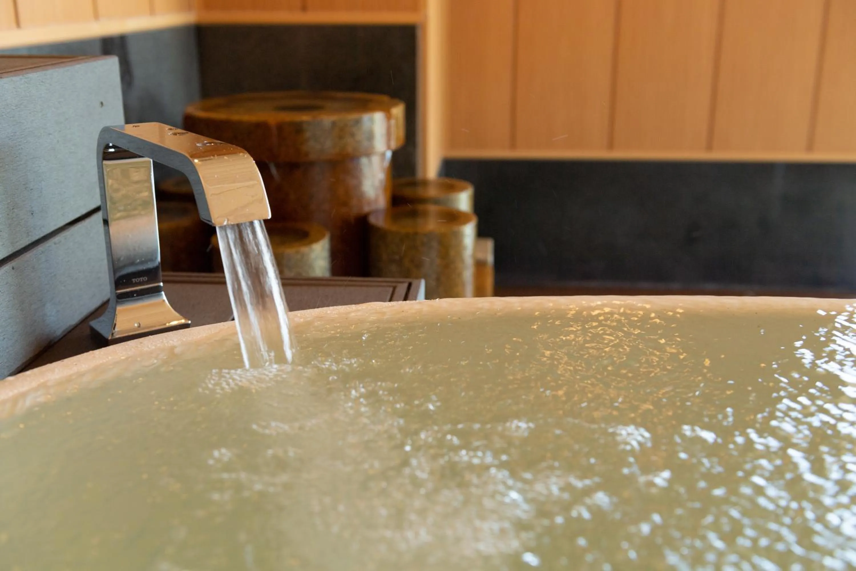 Sauna in Hotel Oyanagi