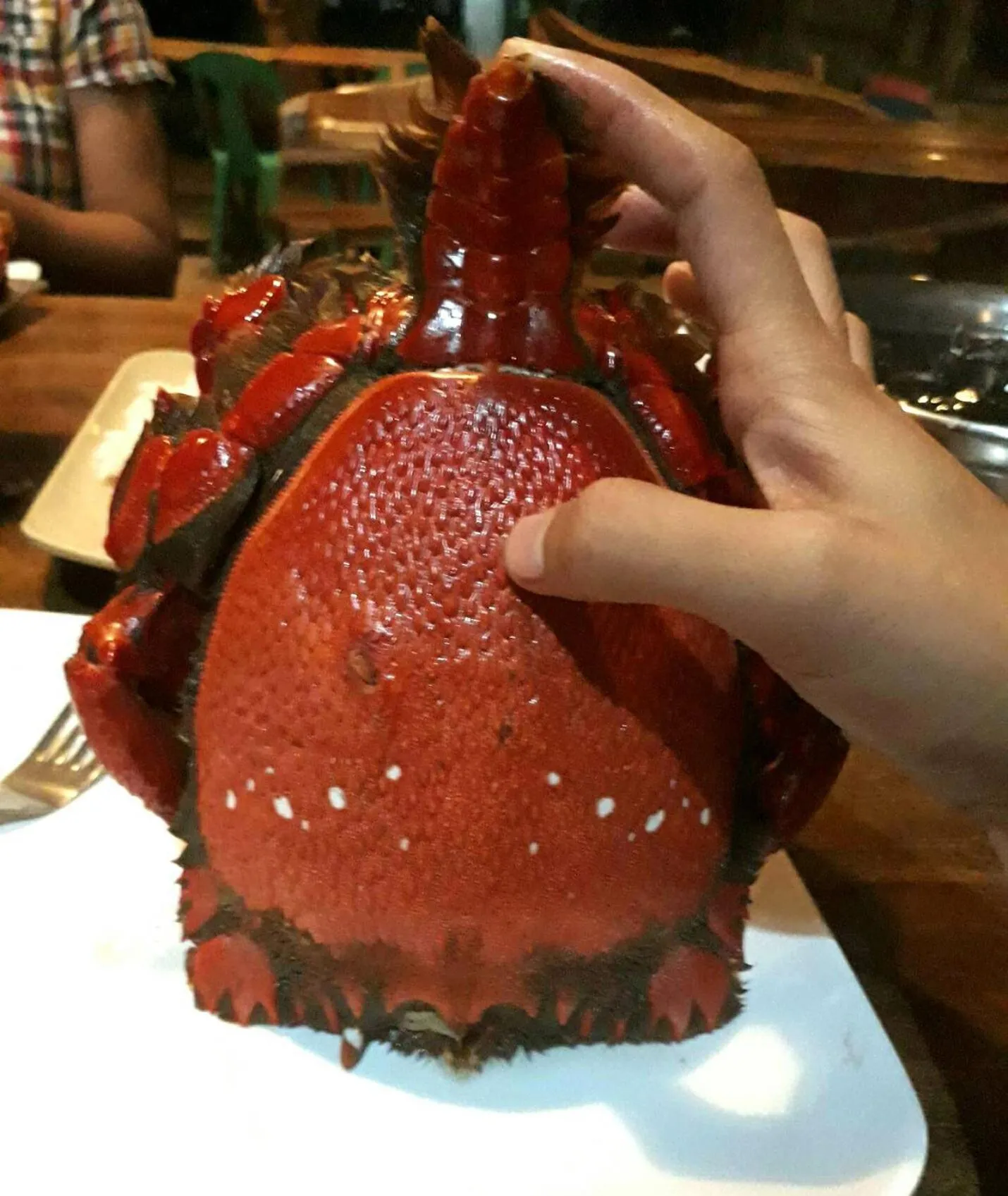 Blue Lagoon Inn and Restaurant, Pagudpud