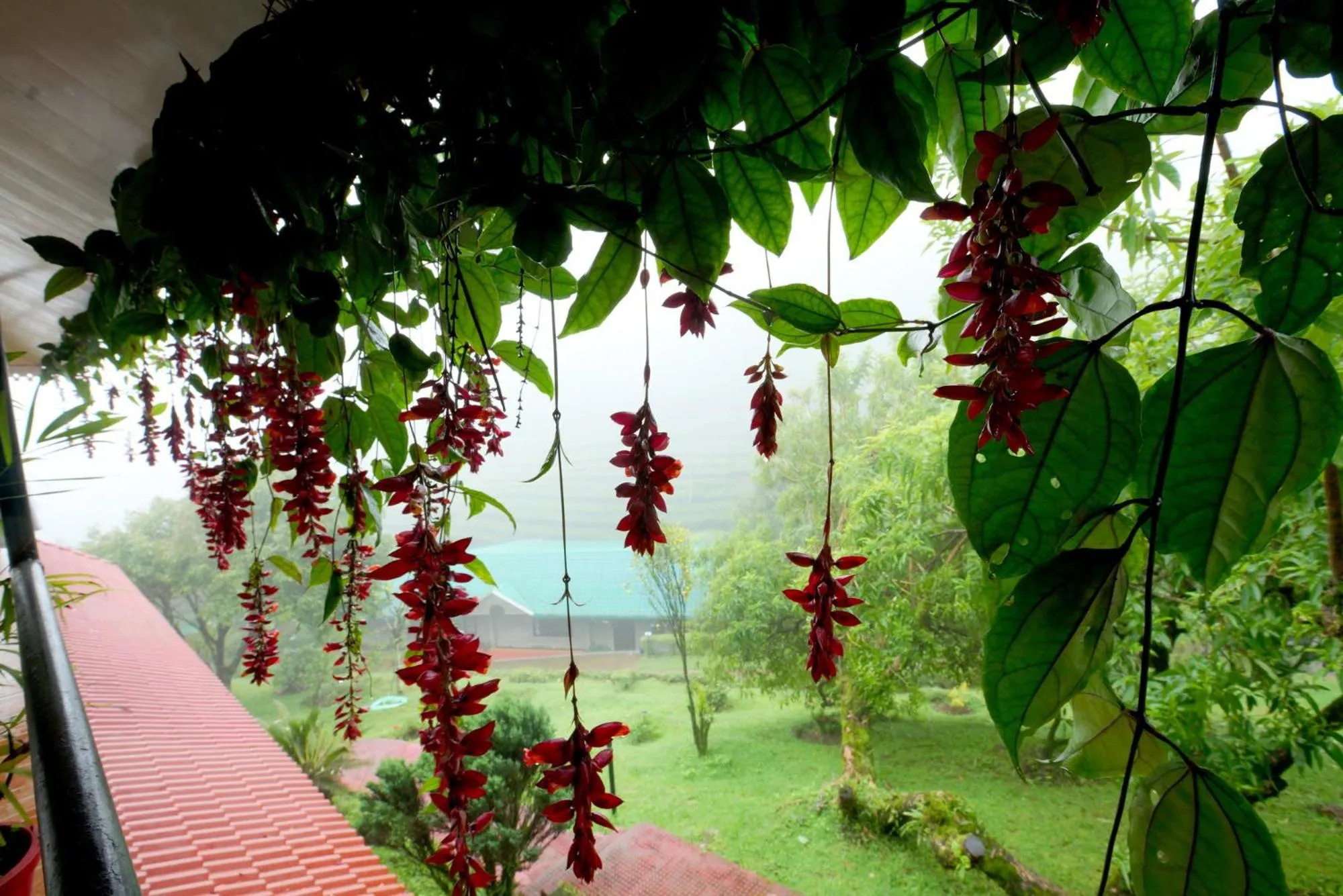 Garden in Camelot Resort