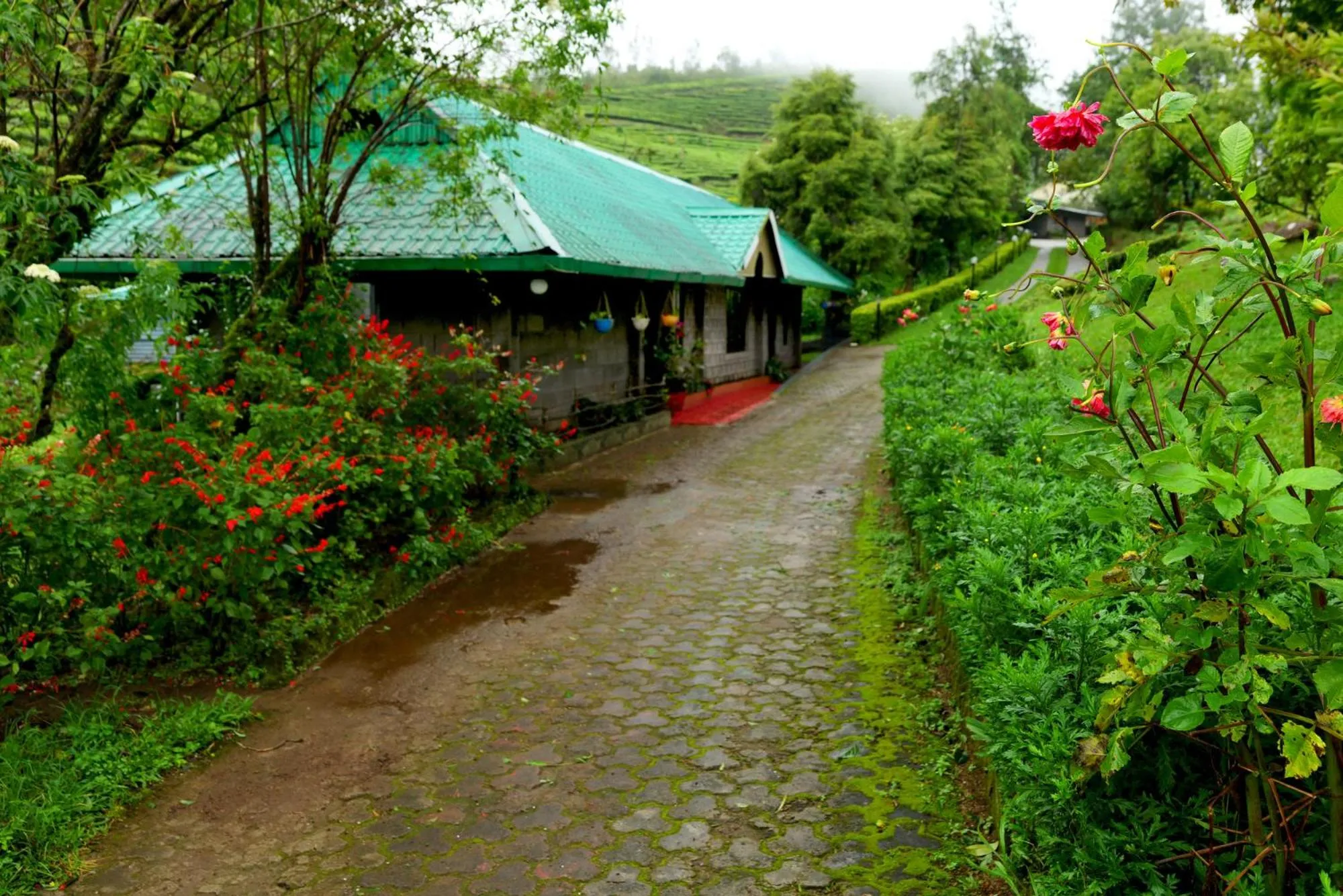 Garden view in Camelot Resort