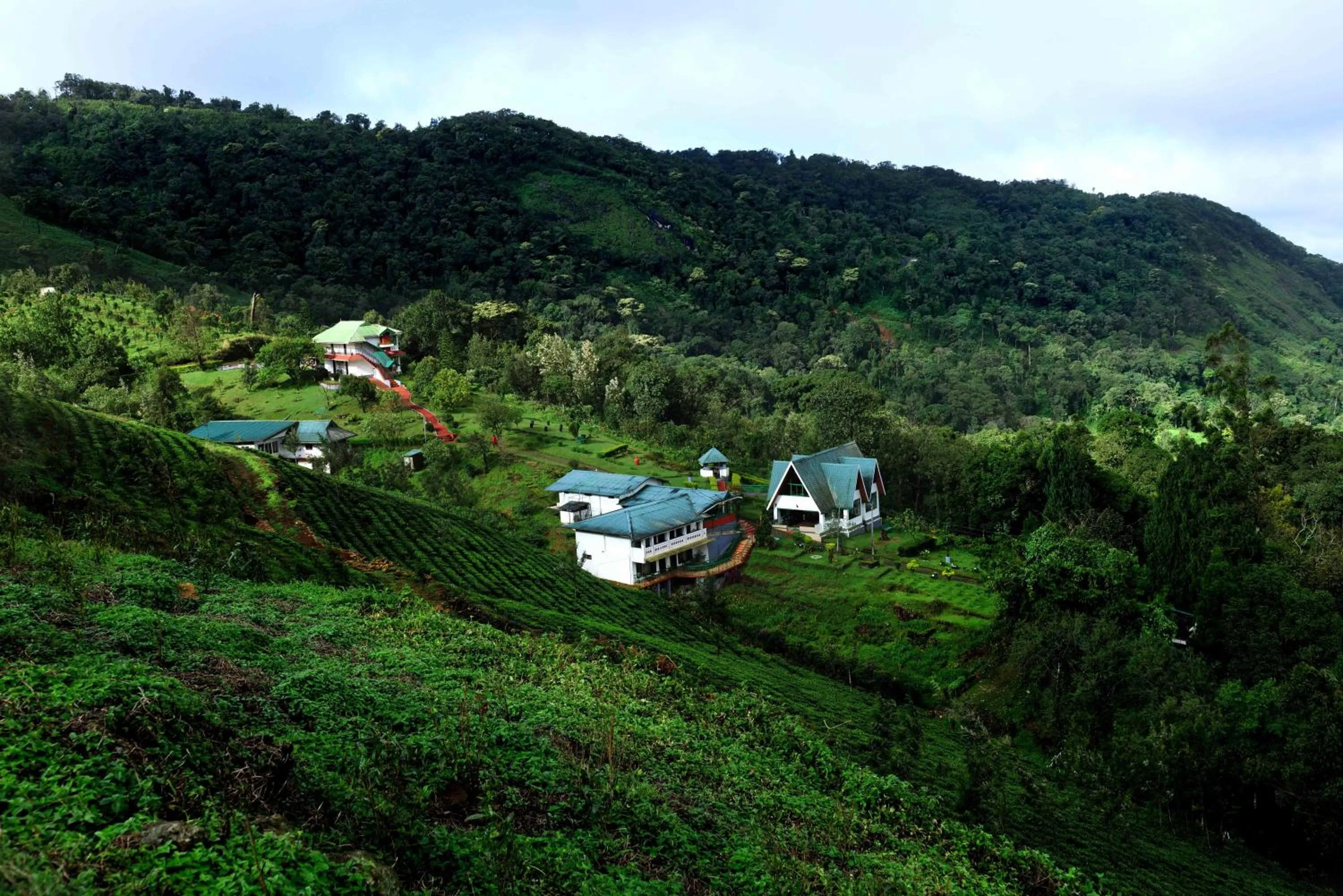 Natural landscape in Camelot Resort