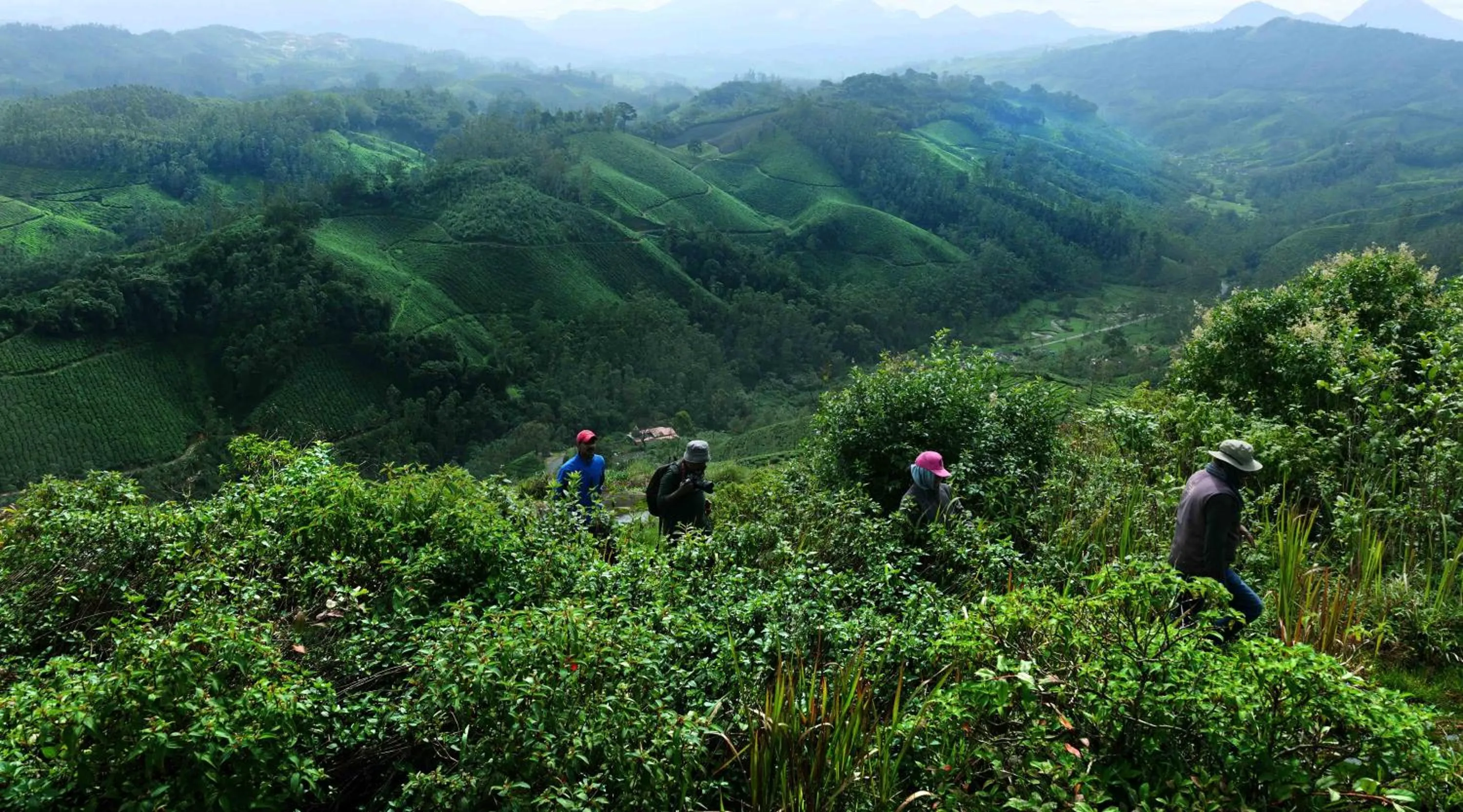 Natural landscape in Camelot Resort