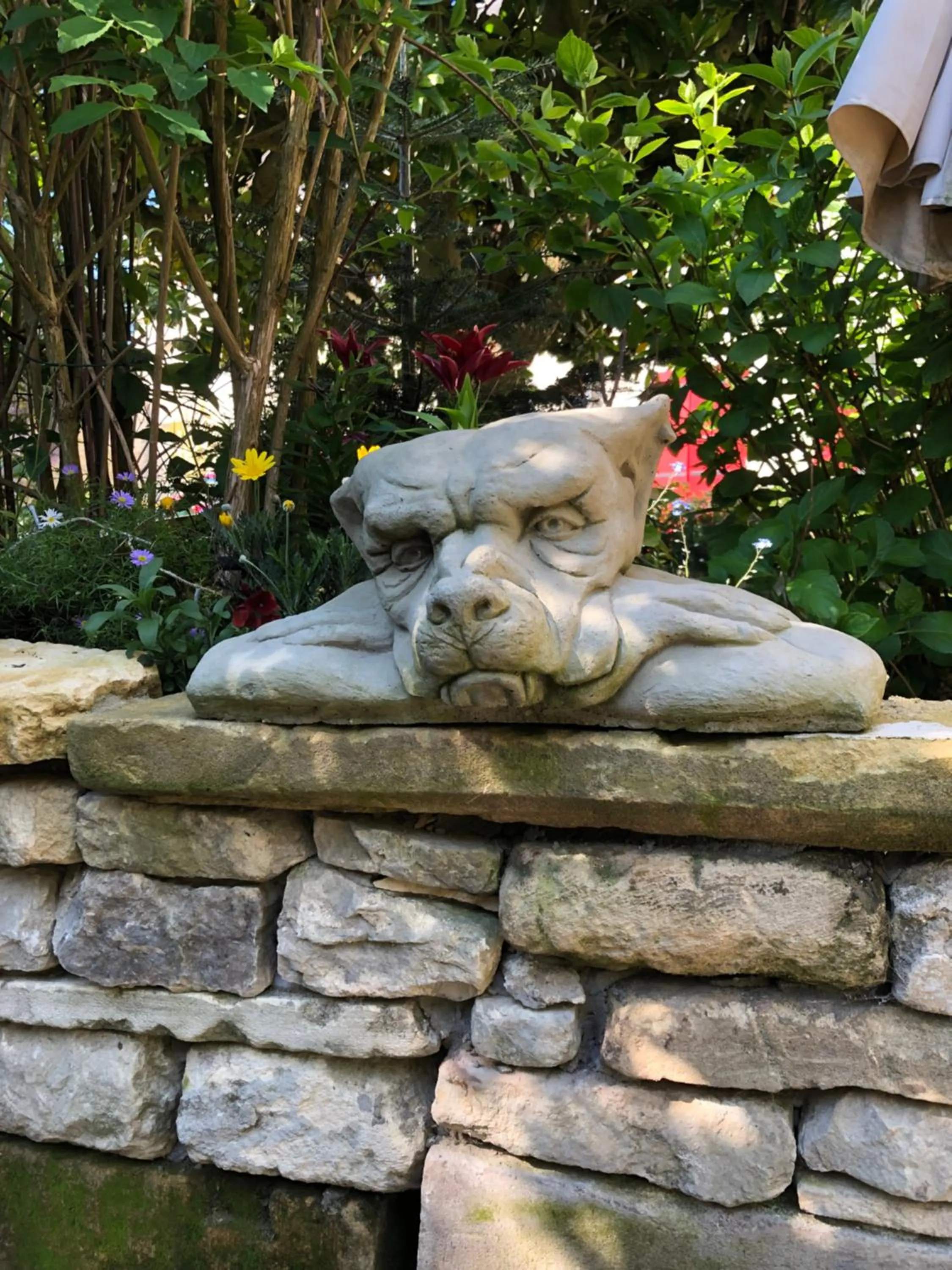 Garden in Aggarthi Bed and Breakfast