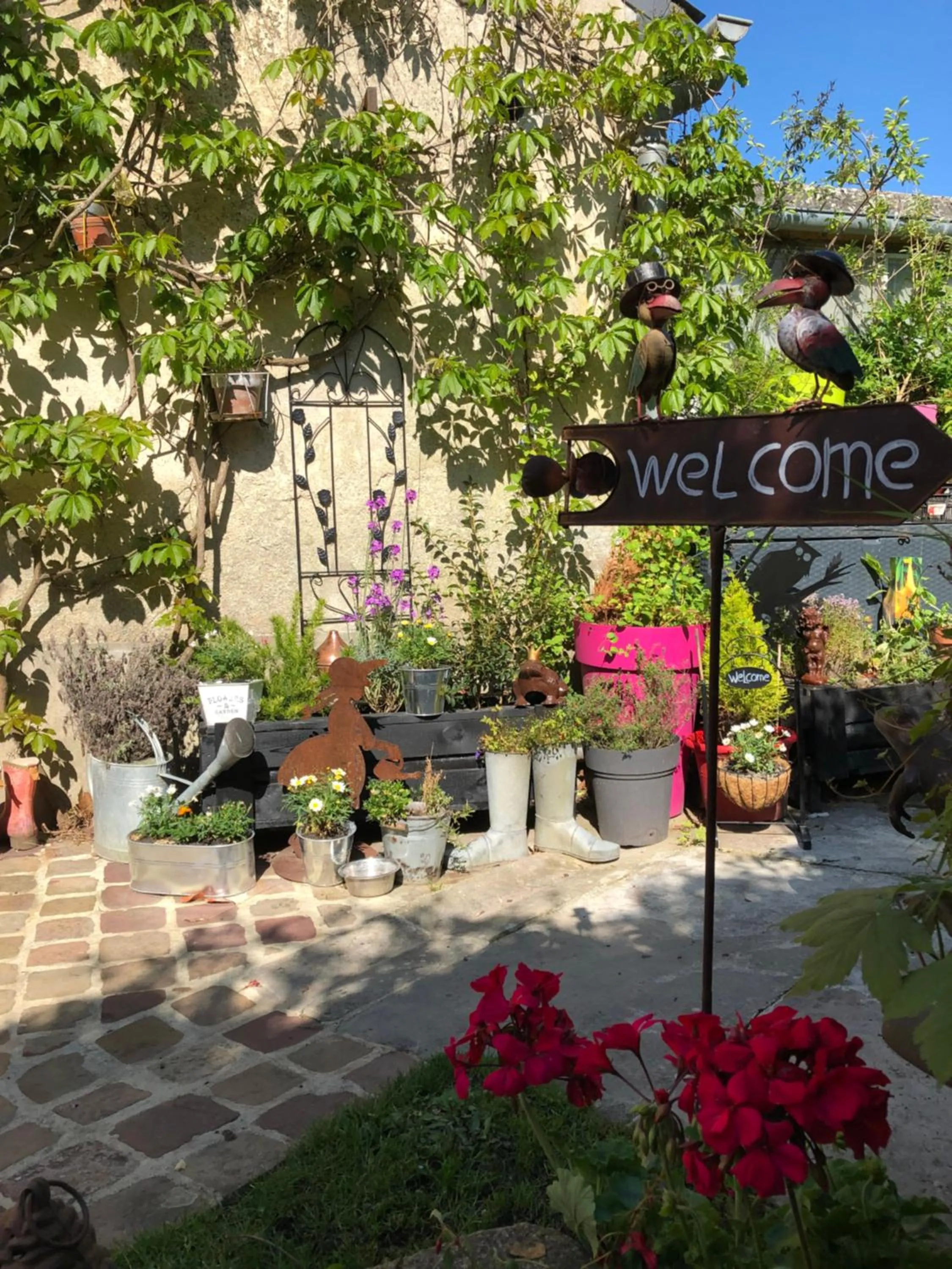 Garden in Aggarthi Bed and Breakfast