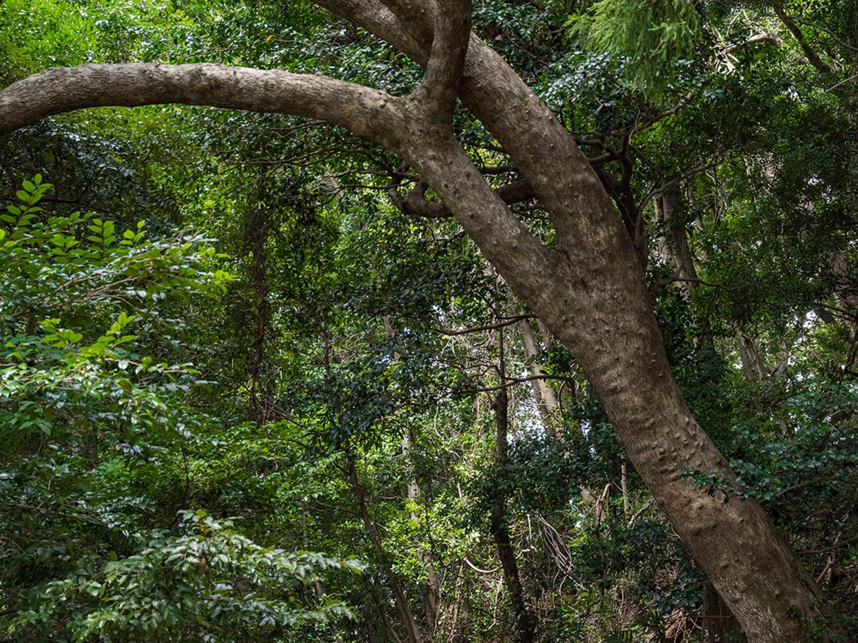 Other in Auberge Yusura