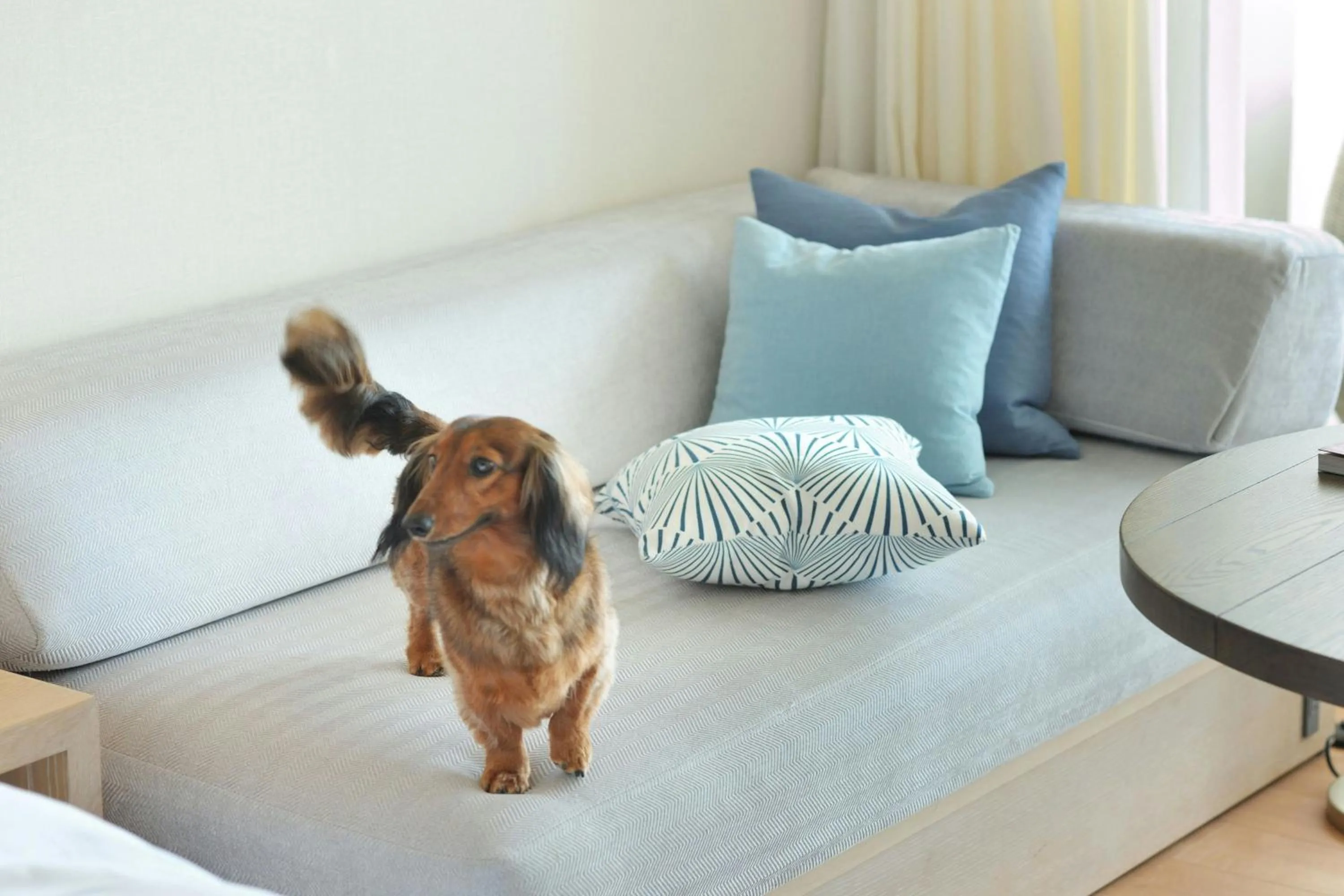 Photo of the whole room in IRAPH SUI, a Luxury Collection Hotel, Miyako Okinawa