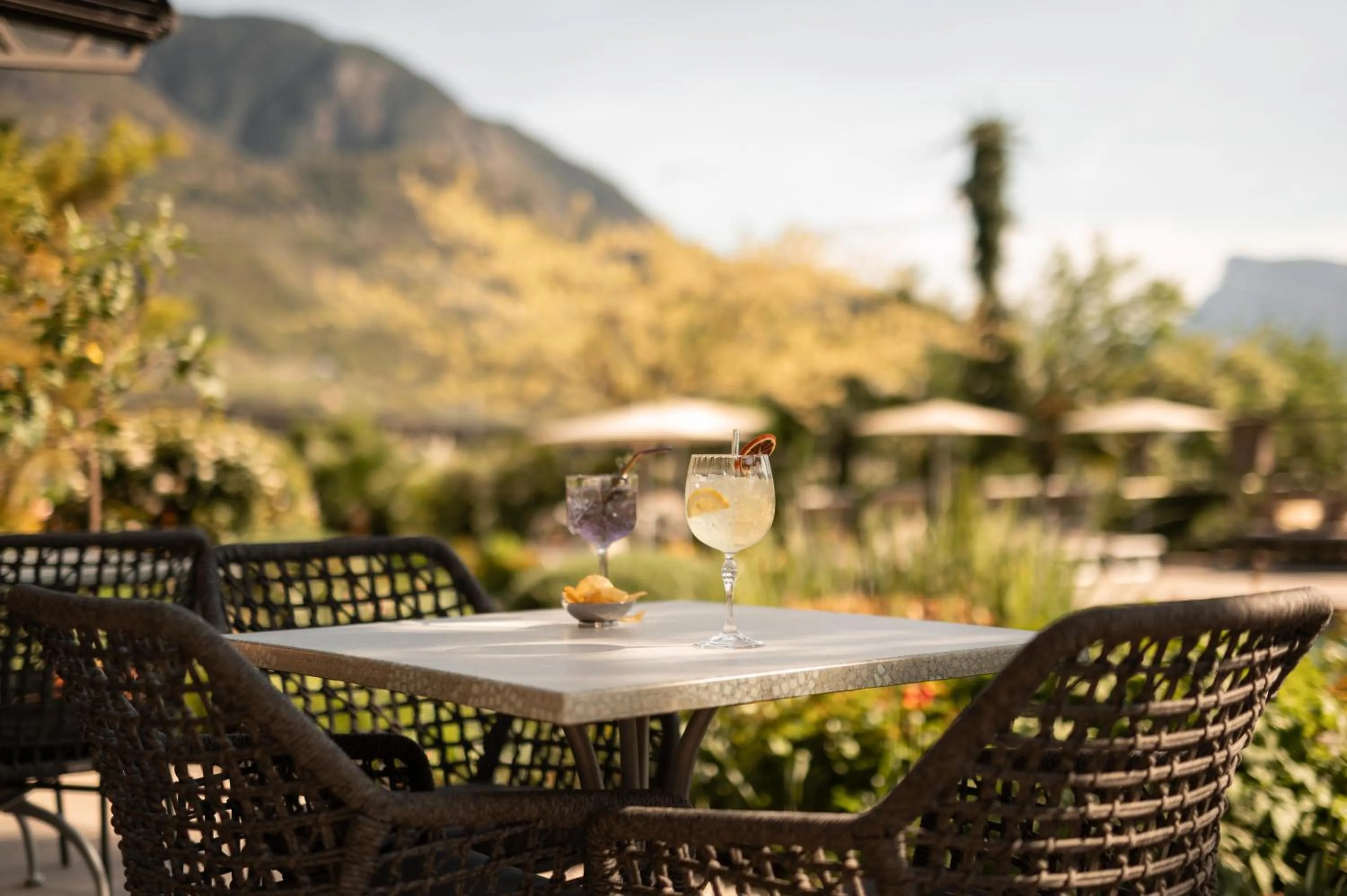 Natural landscape in Hotel Salgart