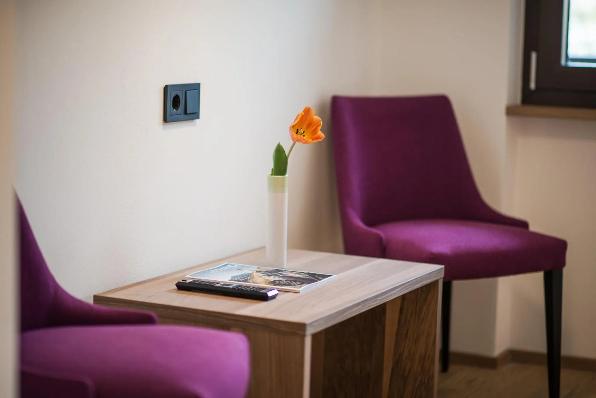 Seating area in Hotel Salgart