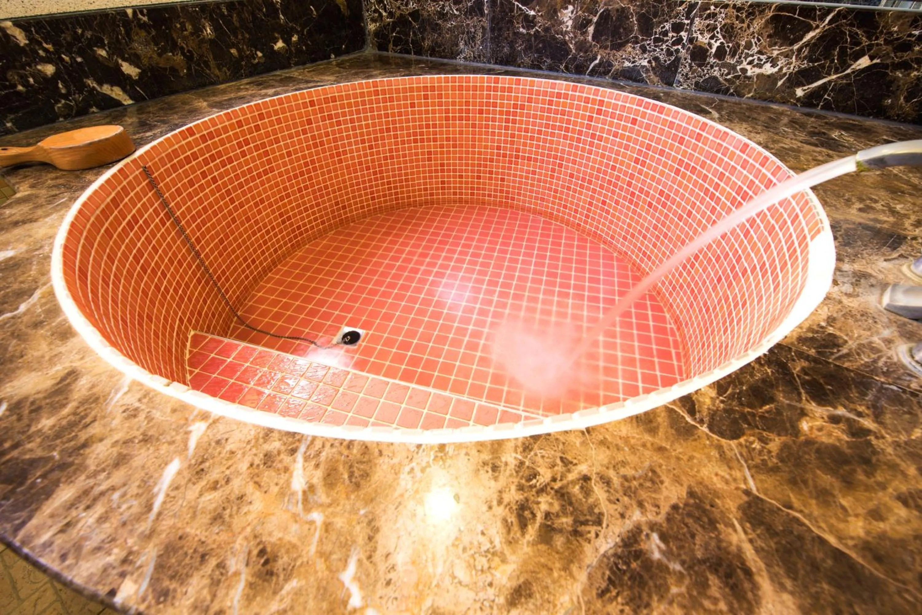 Youngs Hotspring Hotel