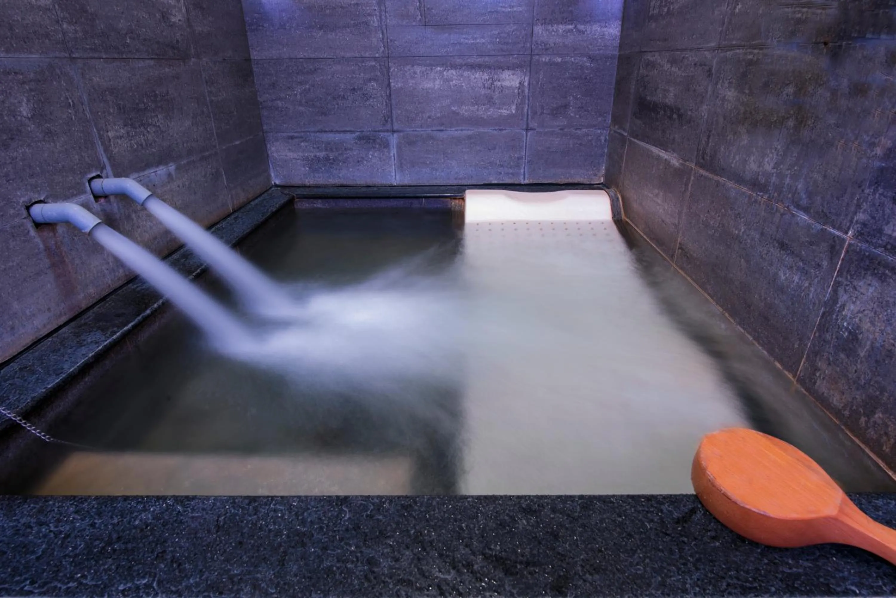 Youngs Hotspring Hotel