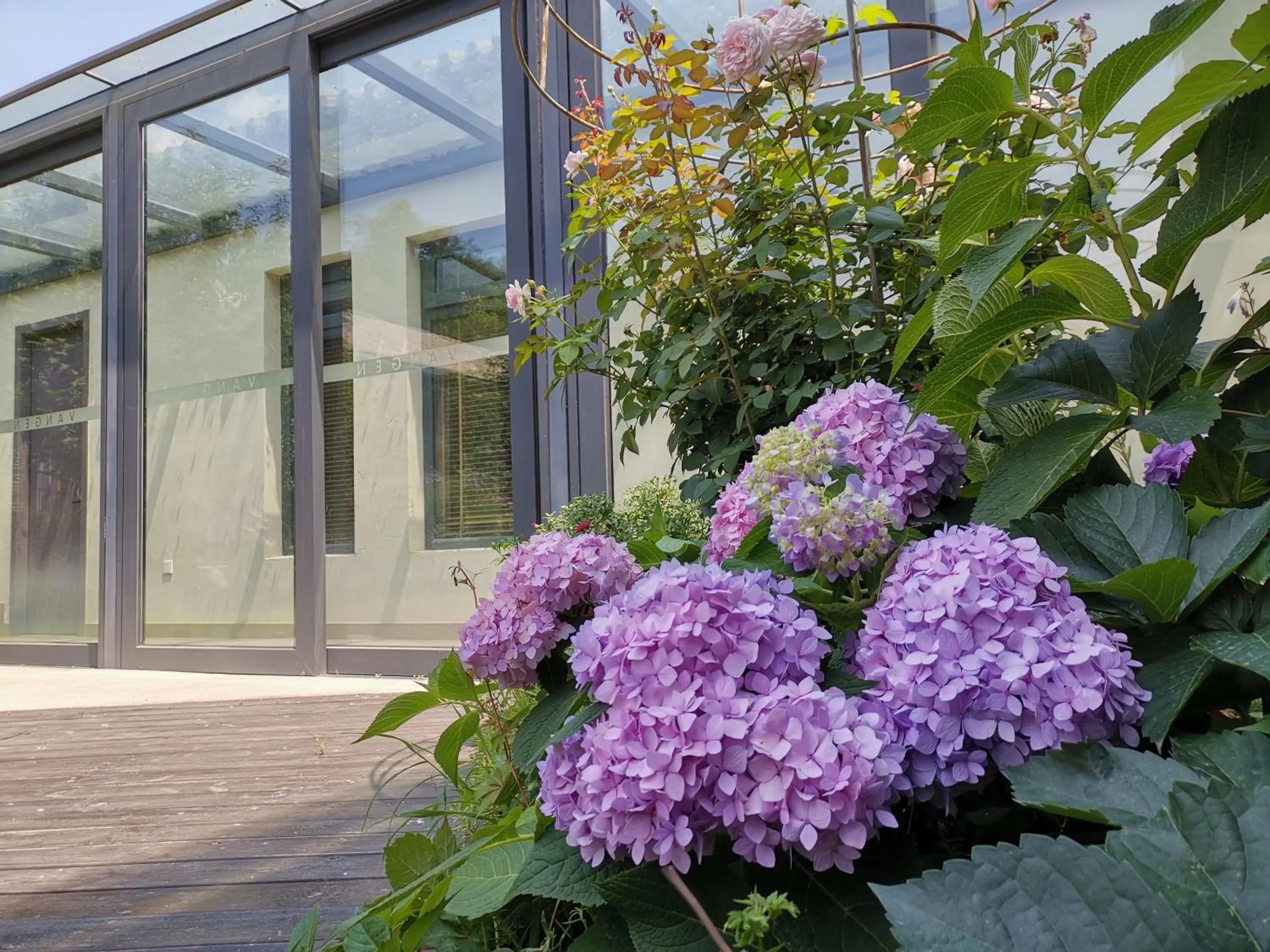 Garden view in Vangen Hotel