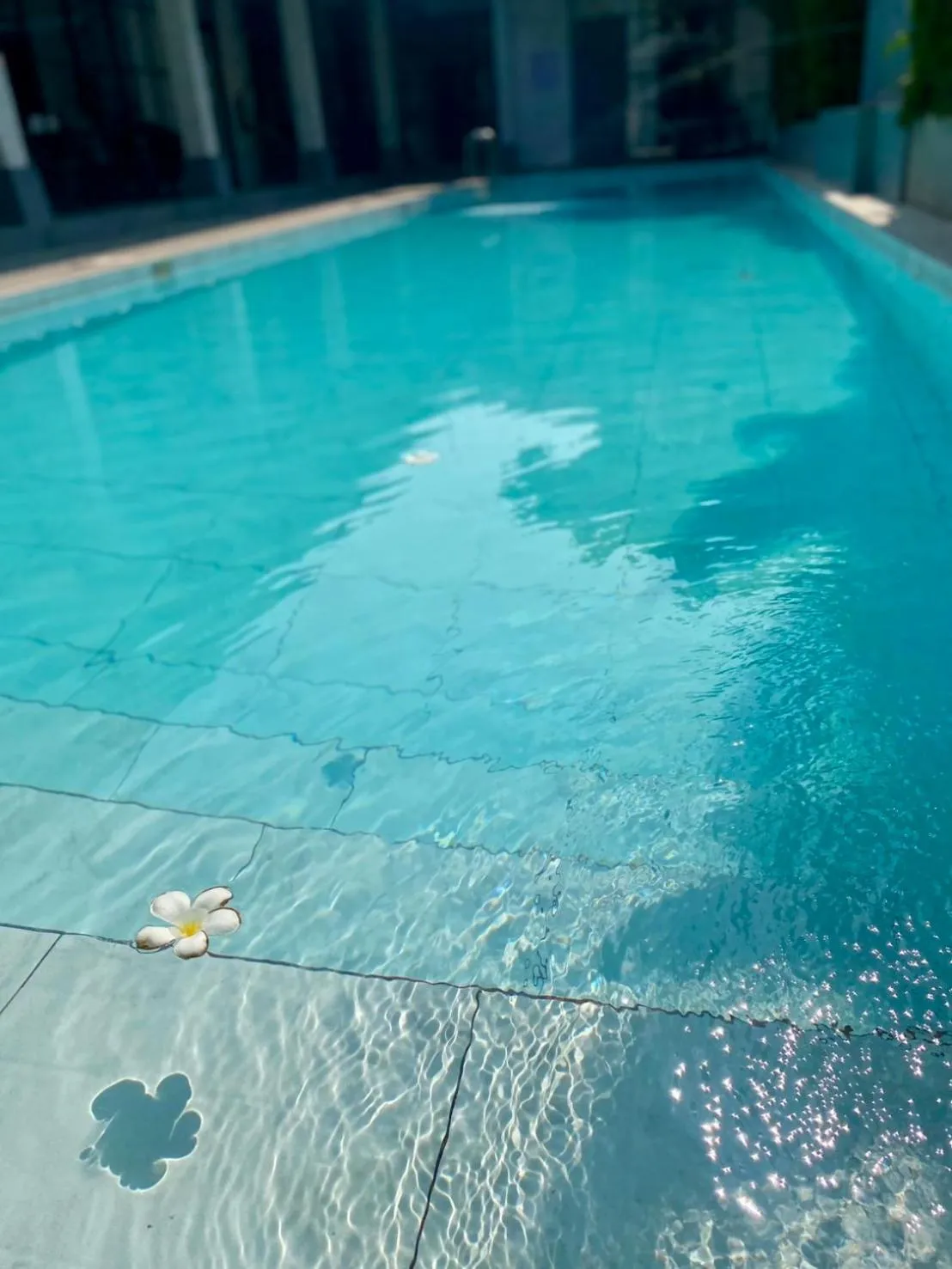 Swimming pool in La Riva Boutique Hotel