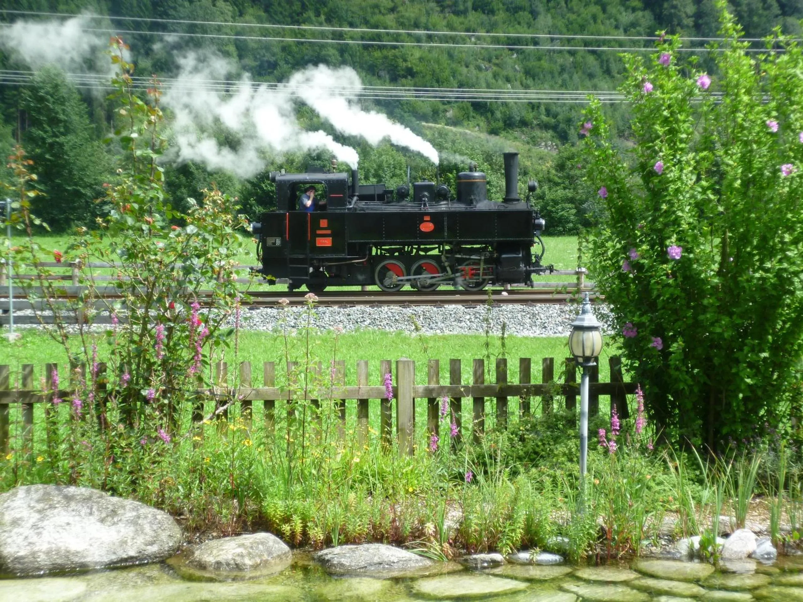 Area and facilities in Landhaus Alpenherz