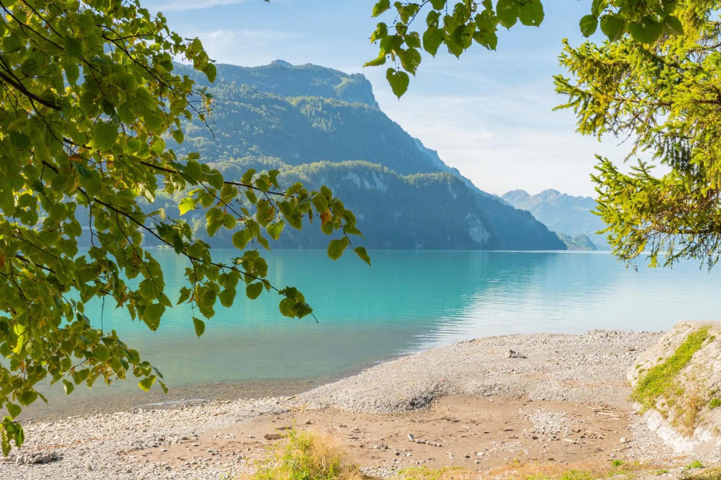 Lake view in Brienz Youth Hostel