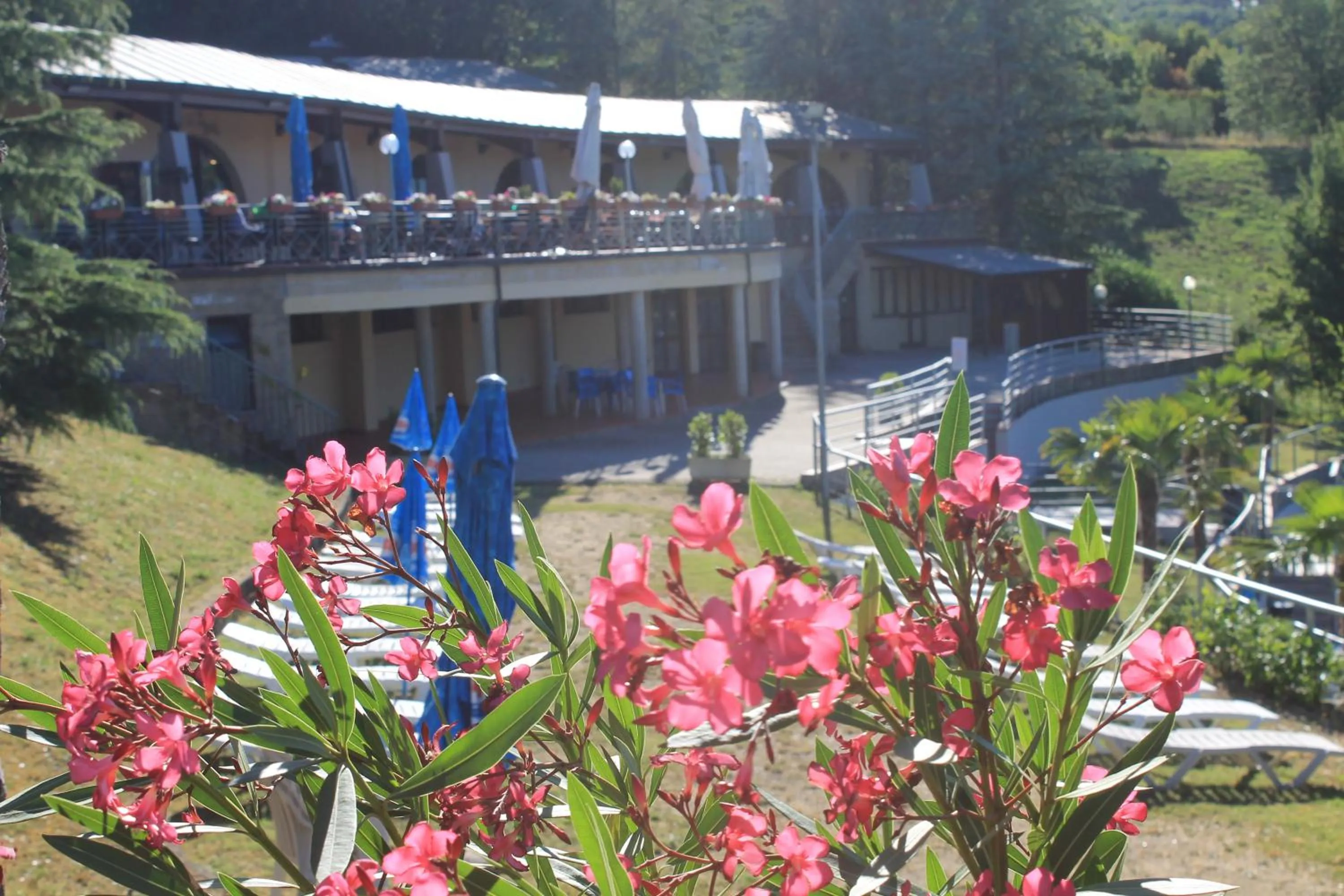 Garden in Camping Village Il Poggetto