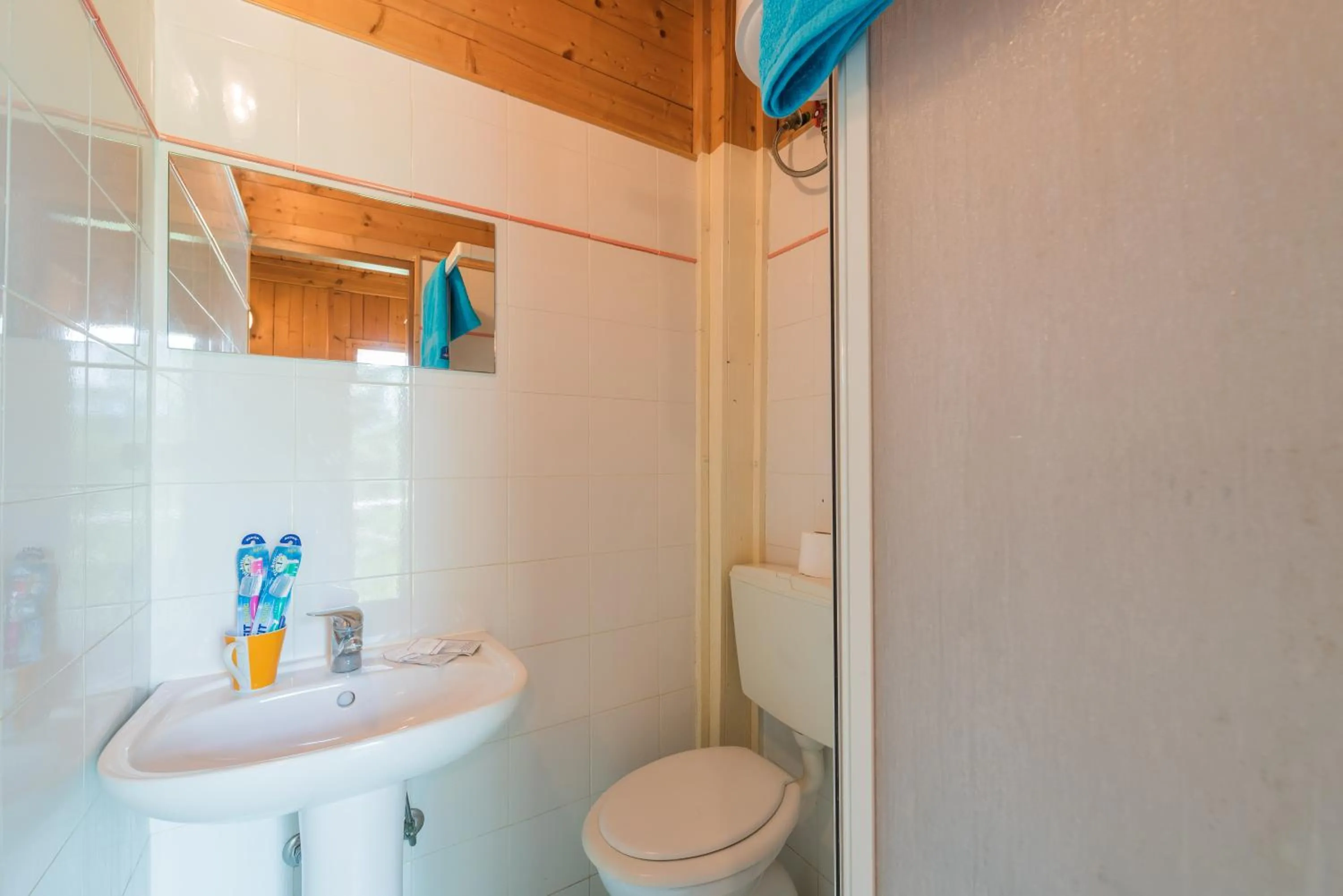 Bathroom in Camping Village Il Poggetto