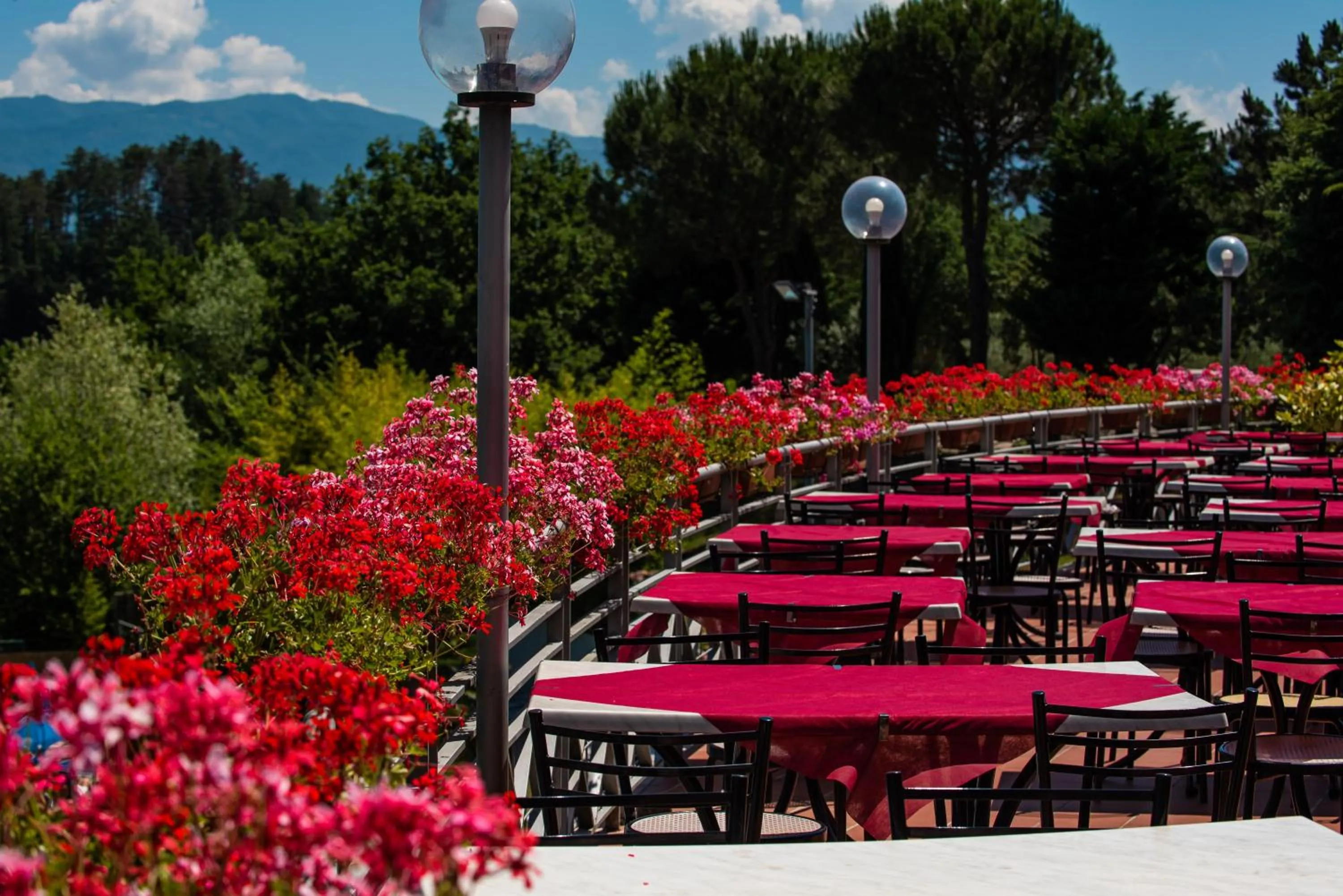 Restaurant/places to eat in Camping Village Il Poggetto