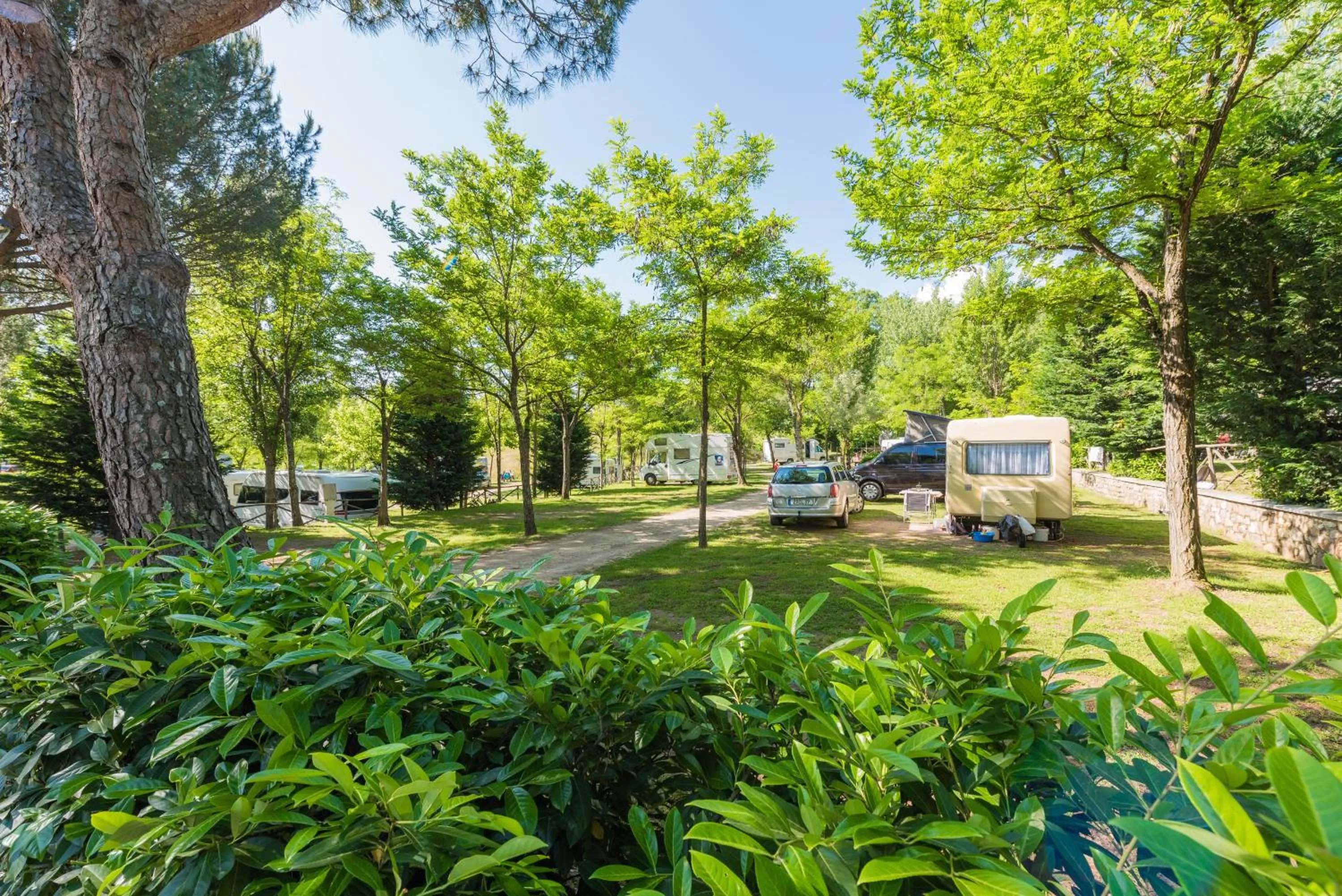 Garden view in Camping Village Il Poggetto
