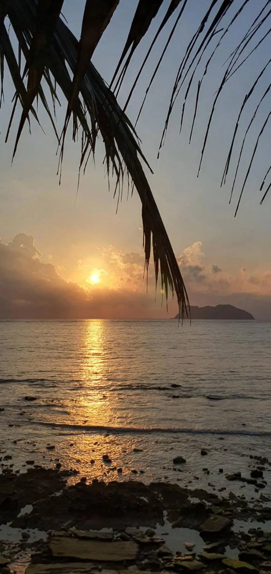 The Beach Resort & Residence - SHA Plus