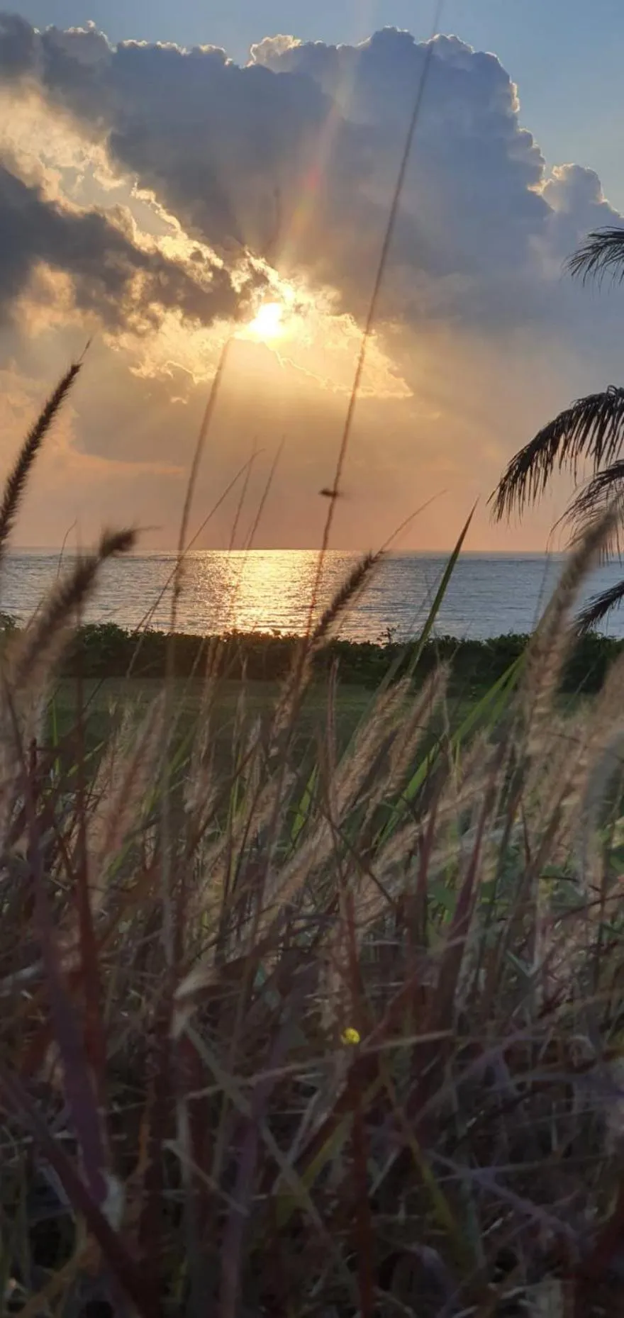 The Beach Resort & Residence - SHA Plus