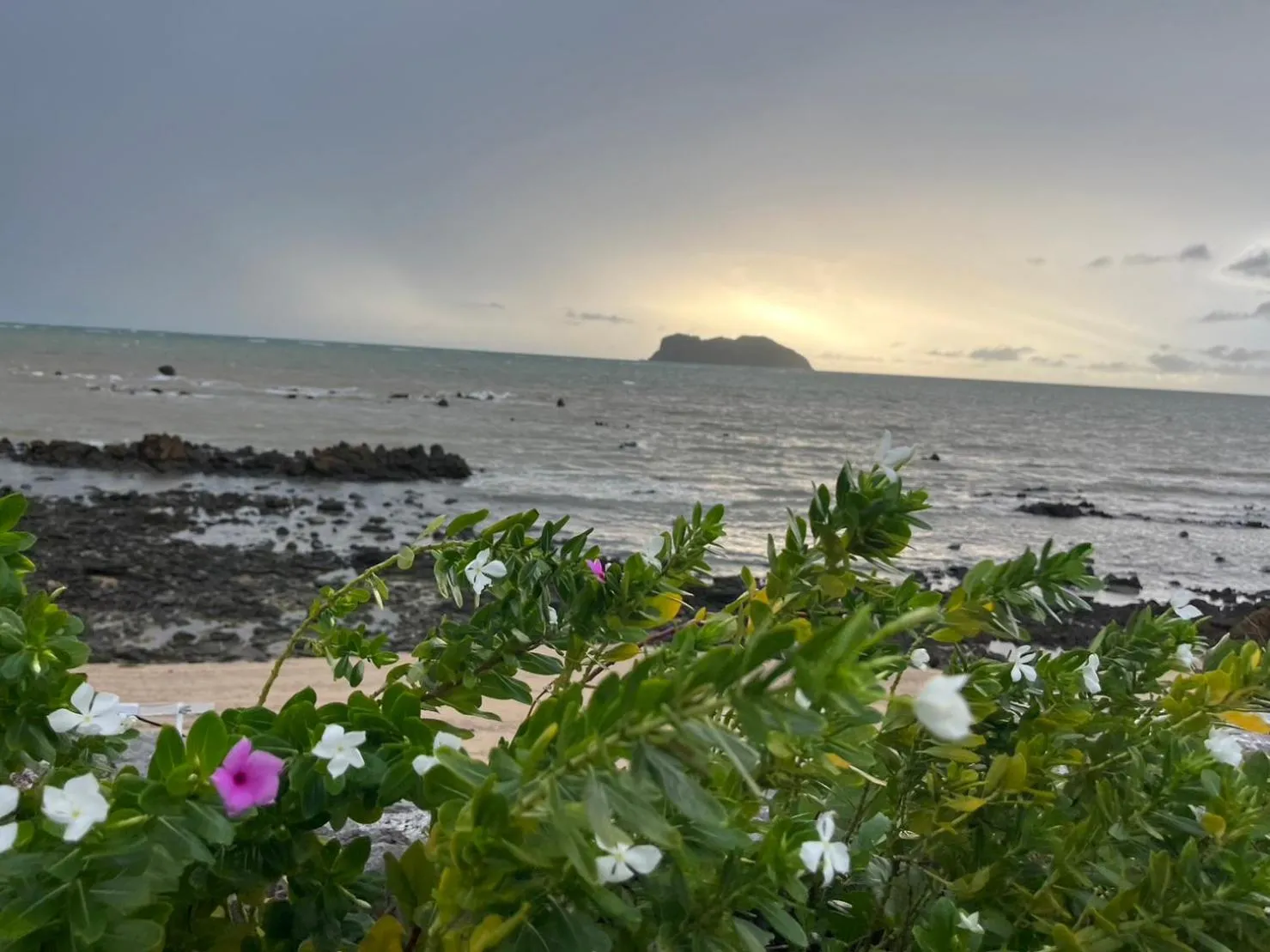 The Beach Resort & Residence - SHA Plus