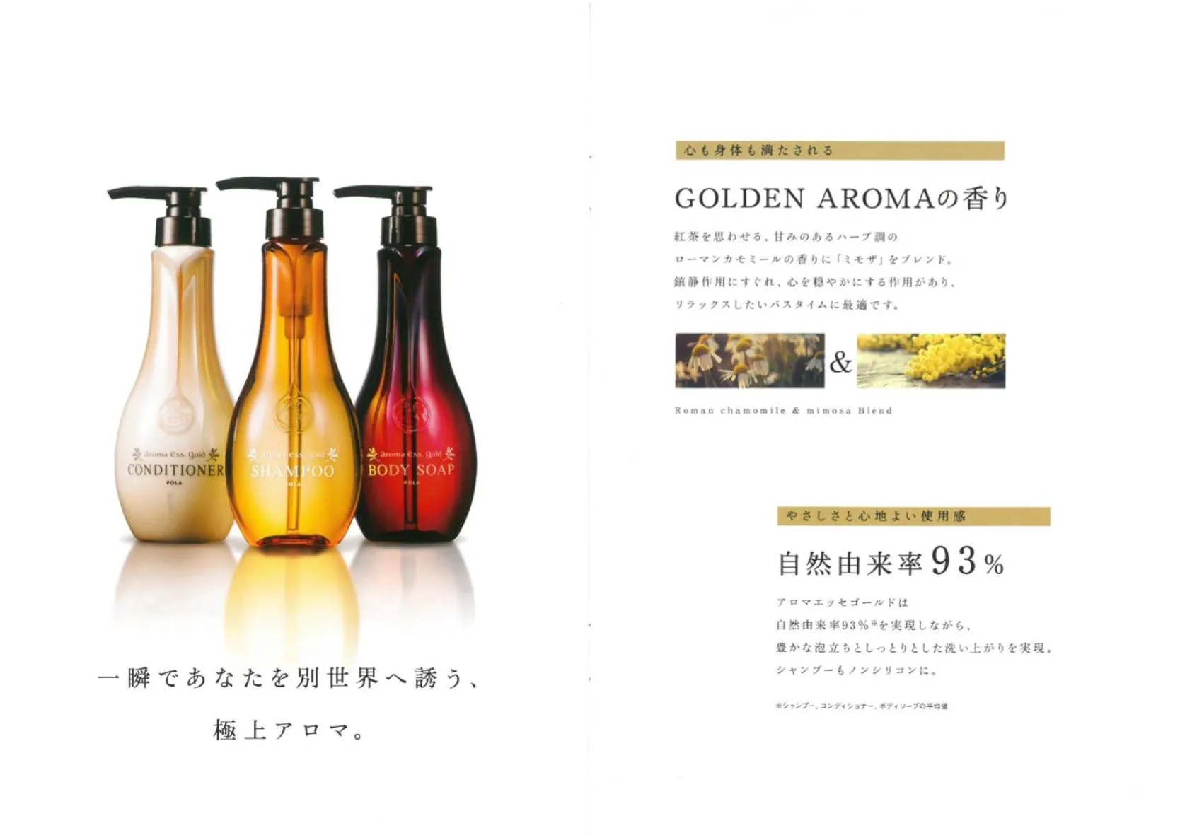 Other in Hotel Metro (Adult Only)