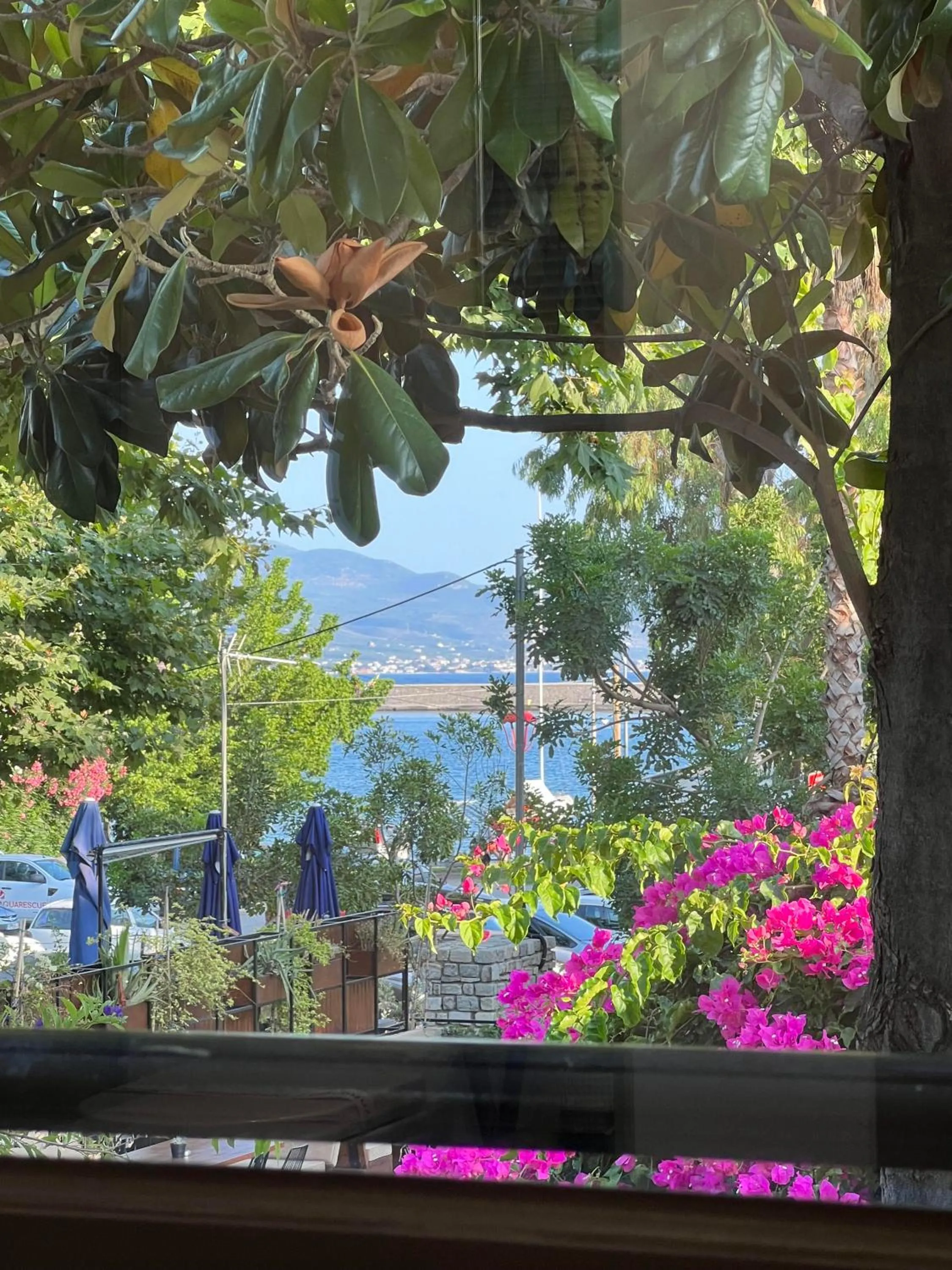 Garden view in Panellinion Luxury Rooms