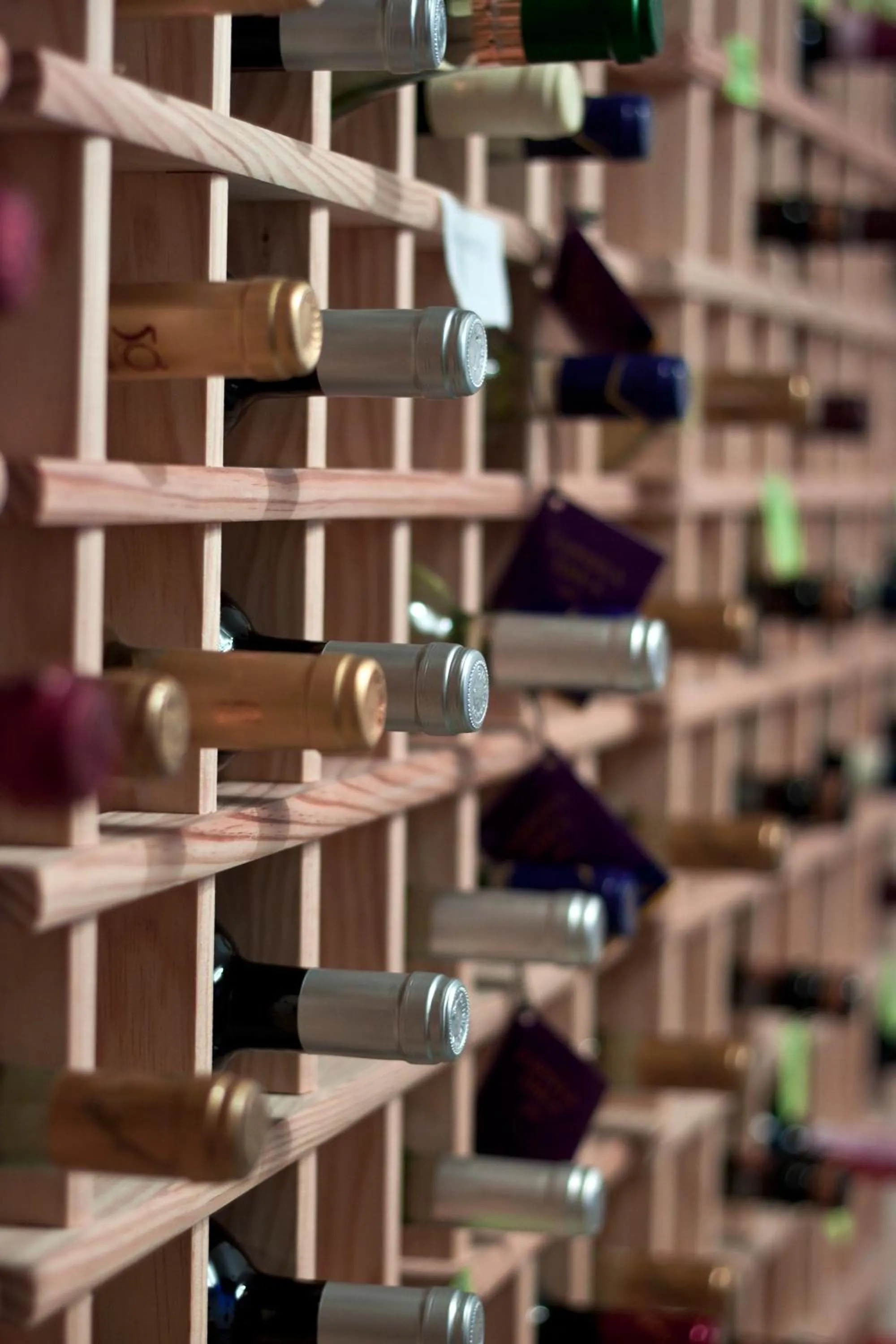 Drinks in Hotel Sonia