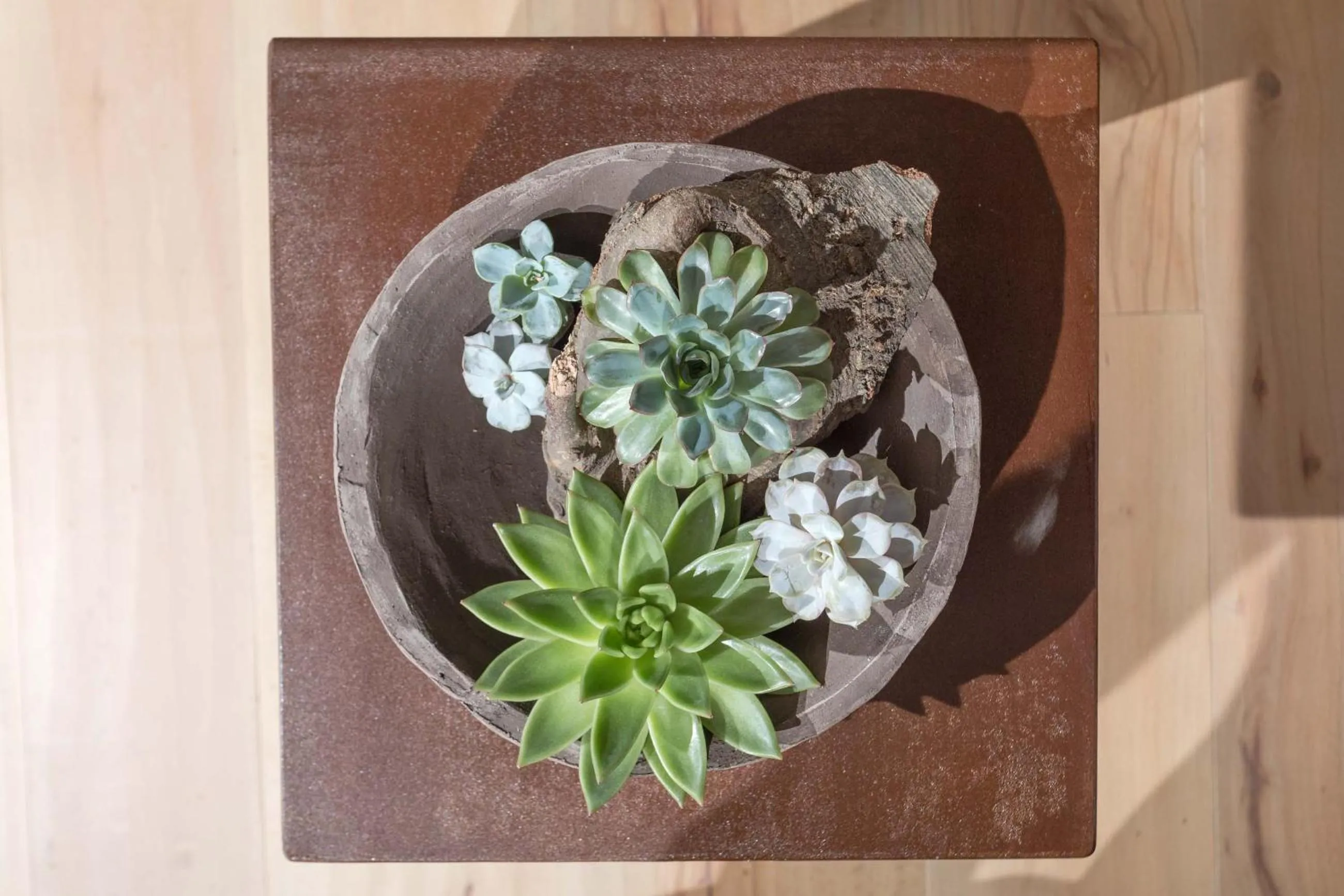 Decorative detail in Tulipa Natural Home