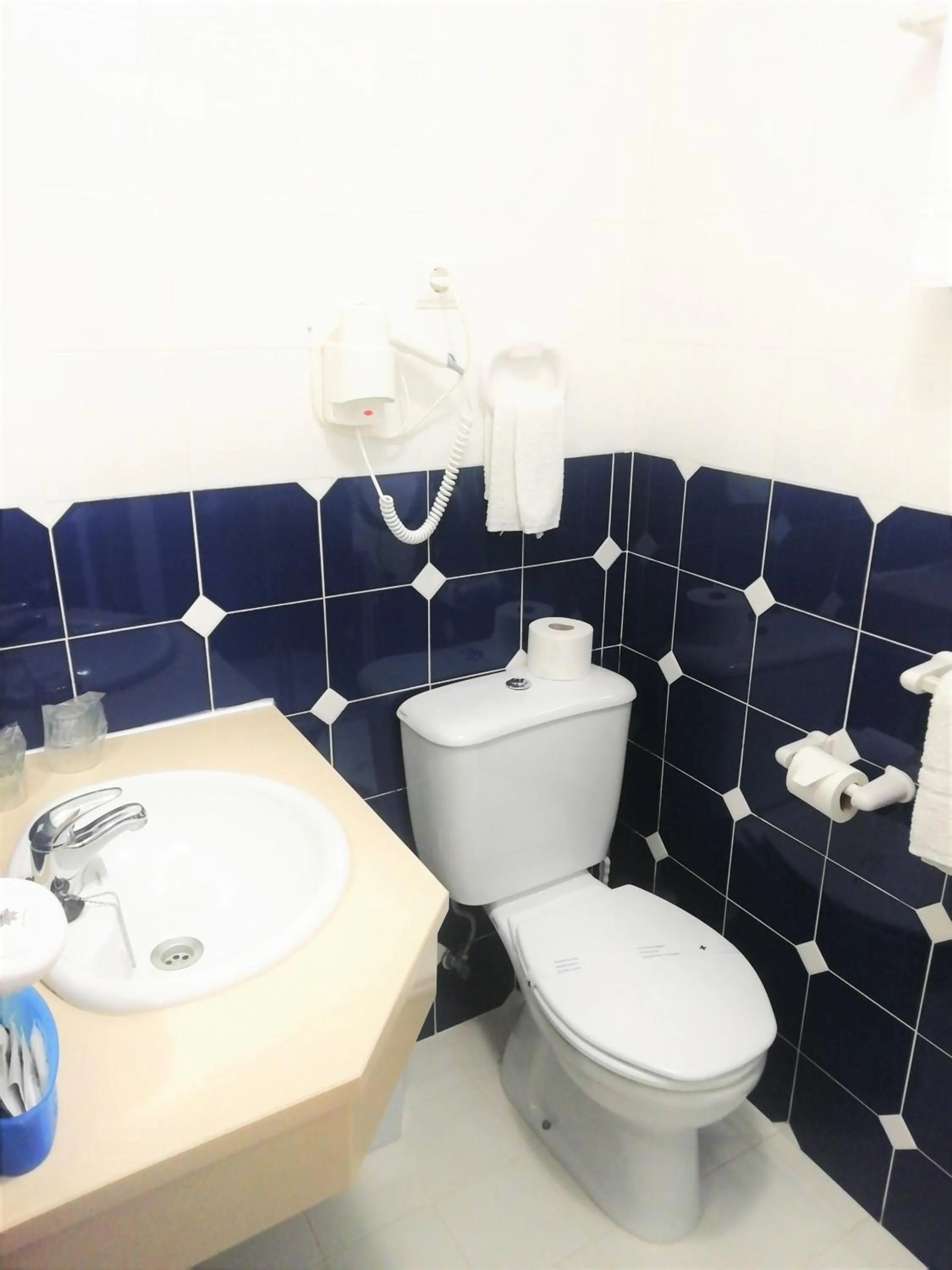 Toilet in Hotel Atlântica