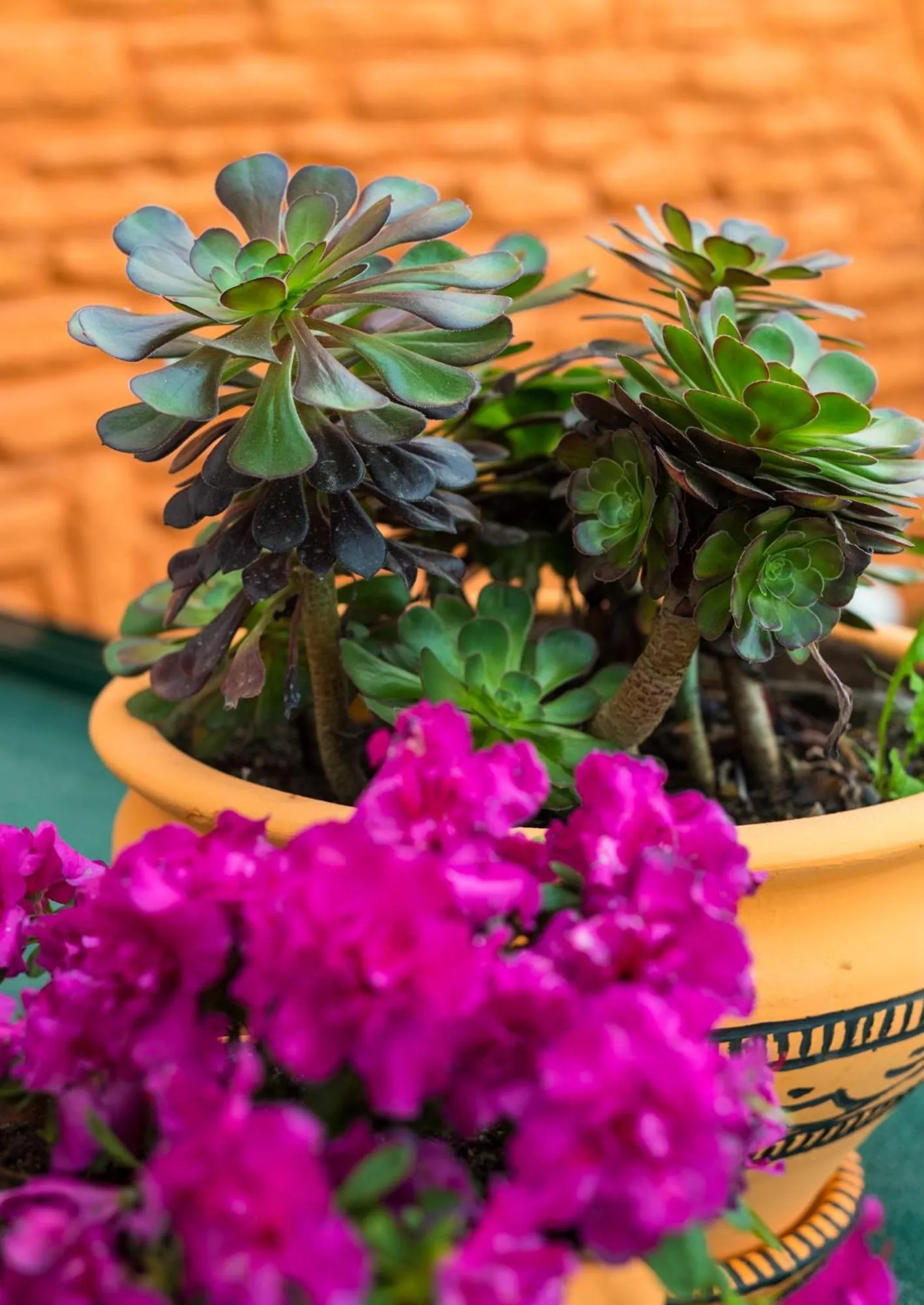 Inner courtyard view in 7 Art Feslegen Hotel By Egeos