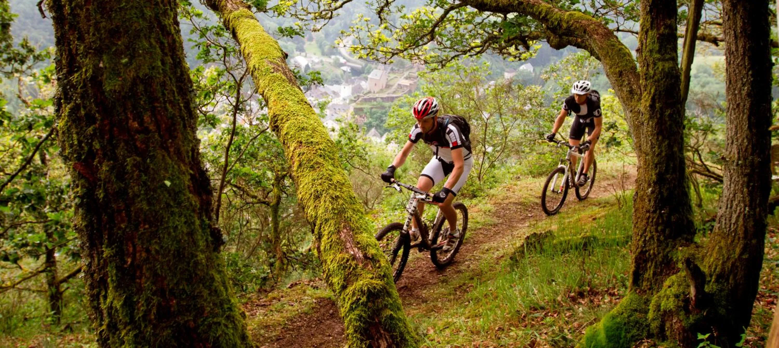 Cycling in Hotel-Restaurant Beim Schlass