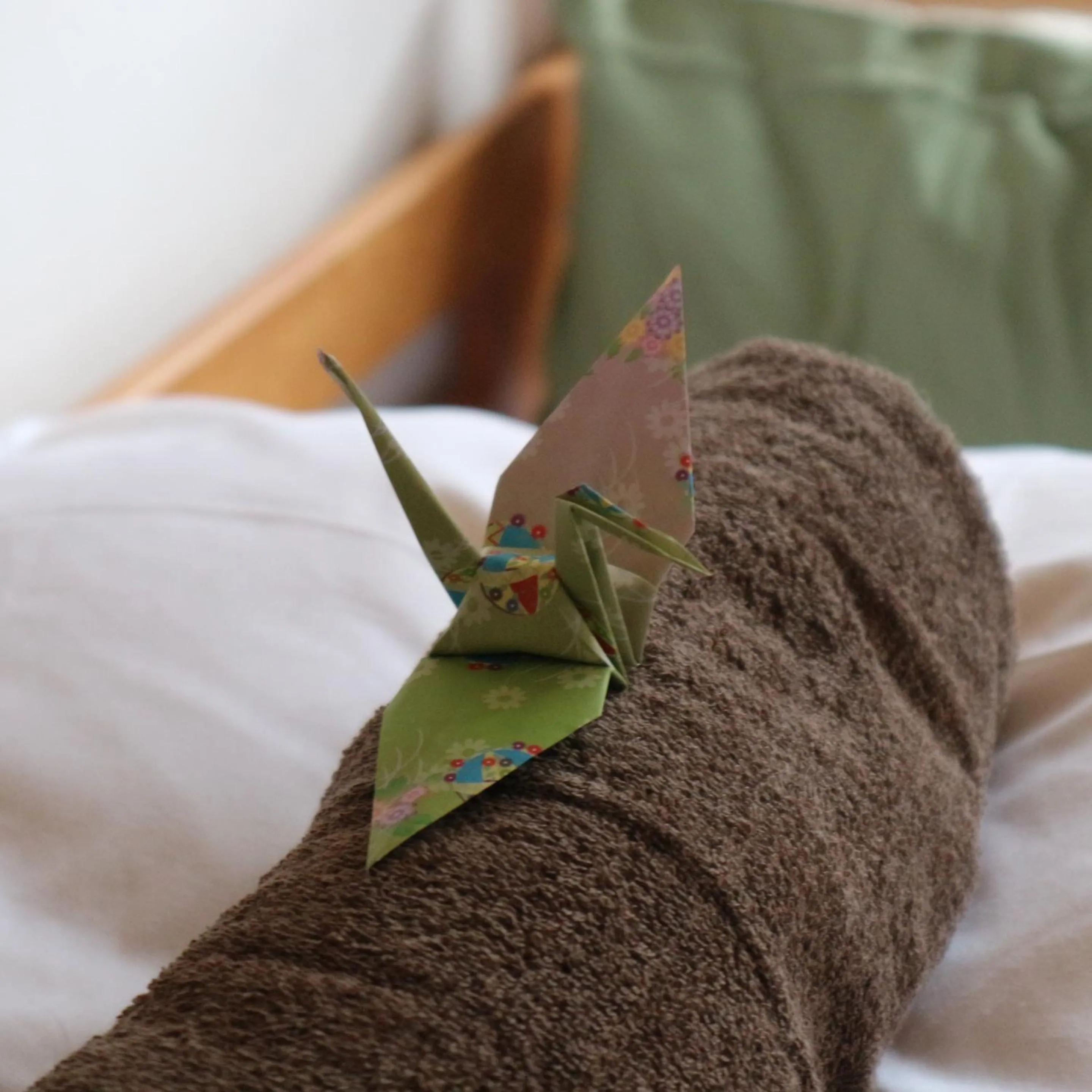 Bed in Hana Hostel Fujisan