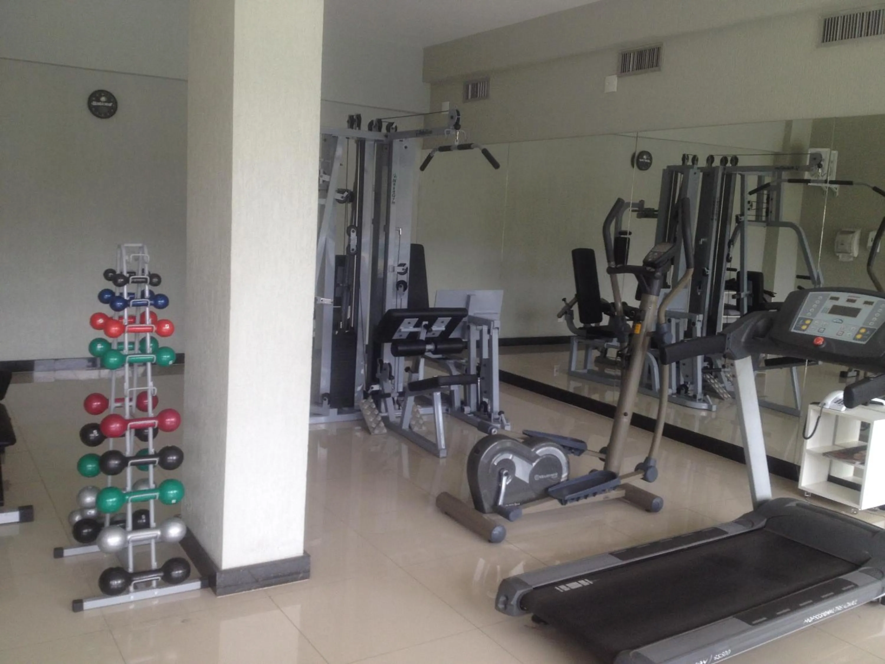 Fitness centre/facilities in Premier Parc Hotel