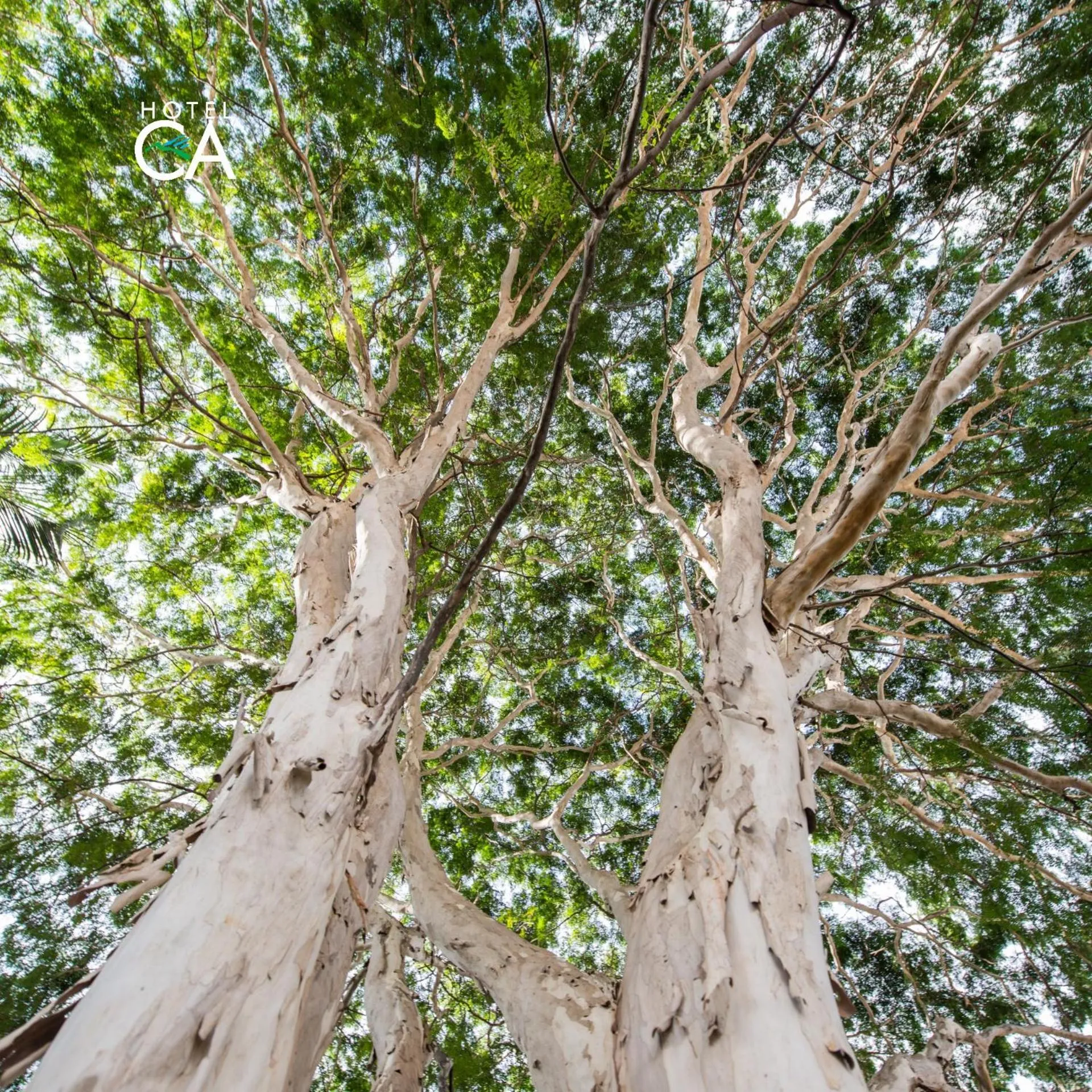Garden in Hotel Canto das Águas - Roteiro de Charme