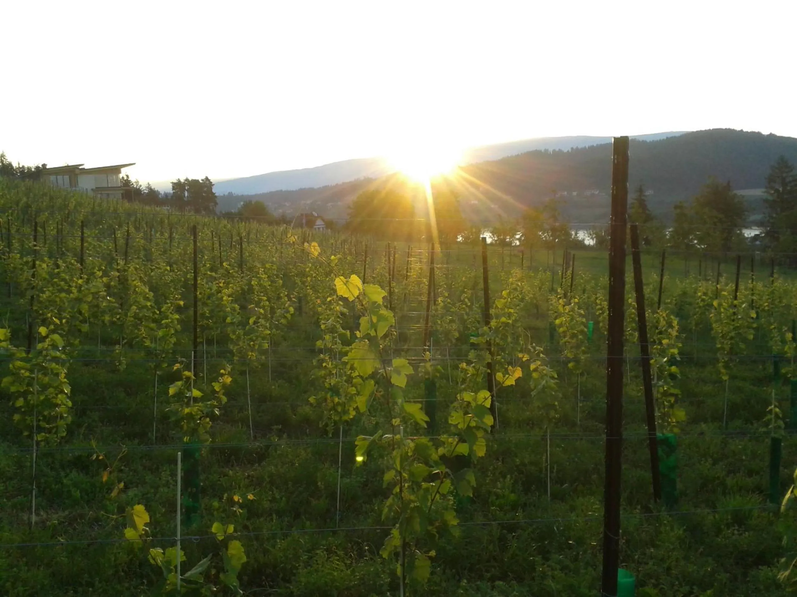 Garden in Längseeleit'n
