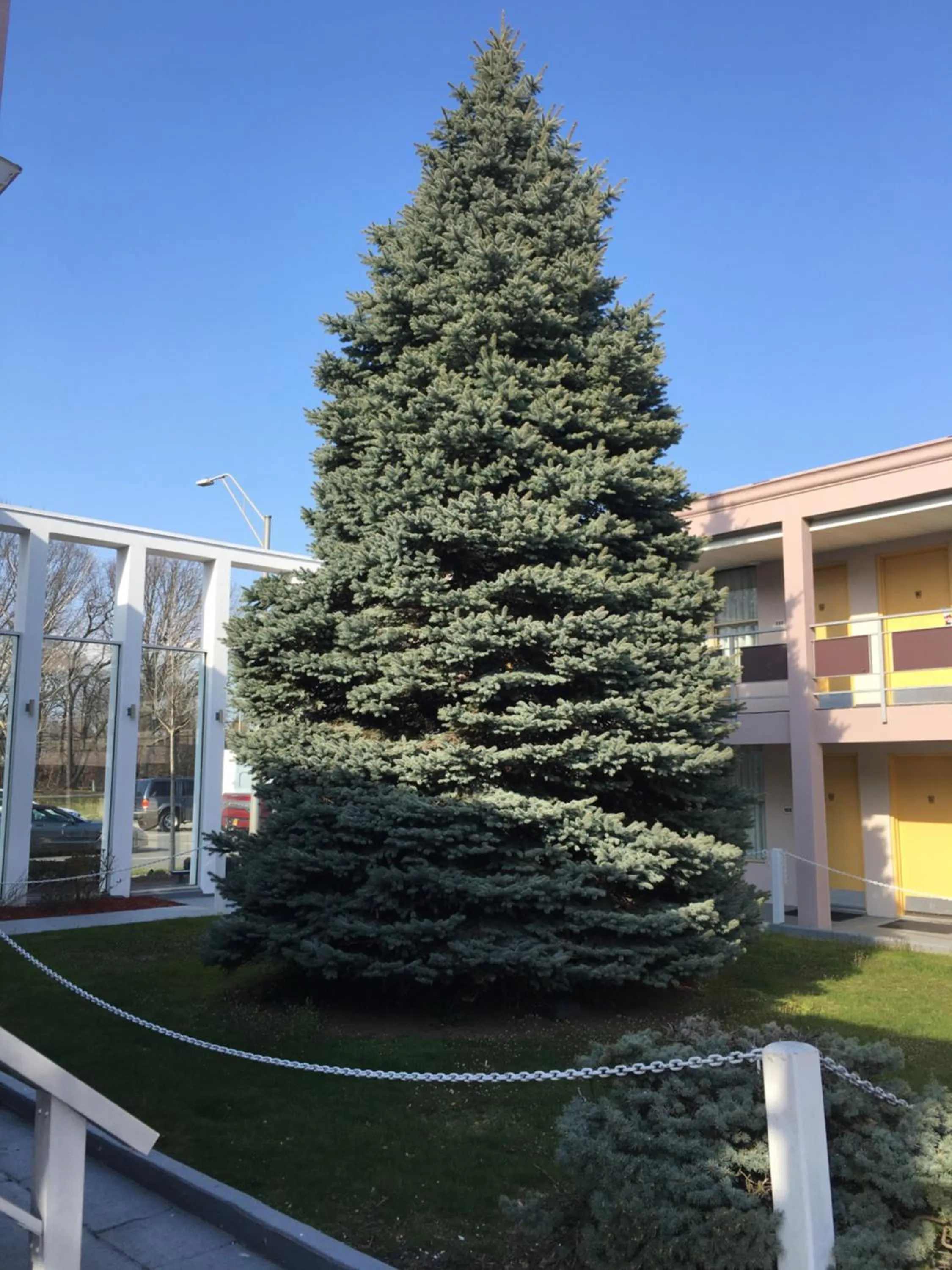 Garden in Ramada by Wyndham Rockville Centre