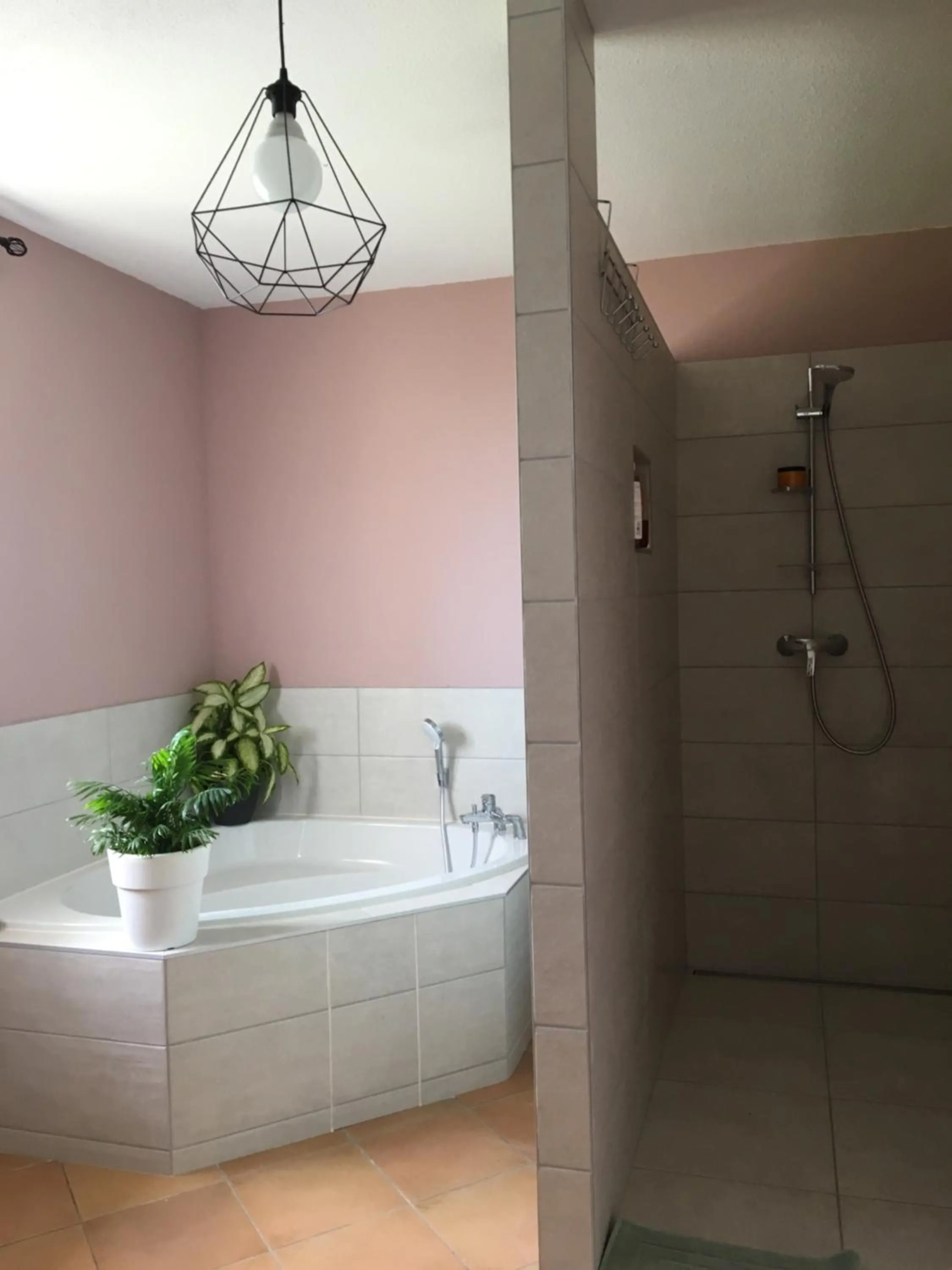 Le chant des oiseaux