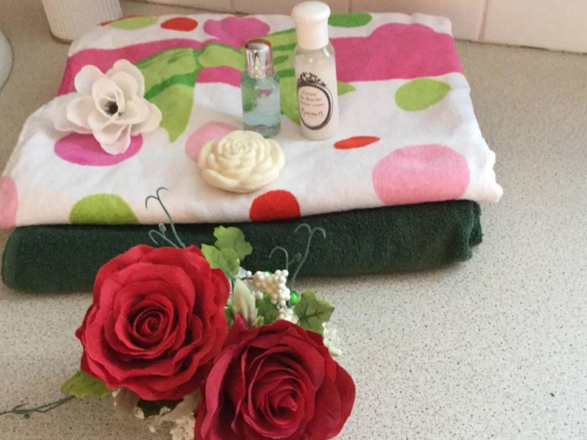 Le chant des oiseaux