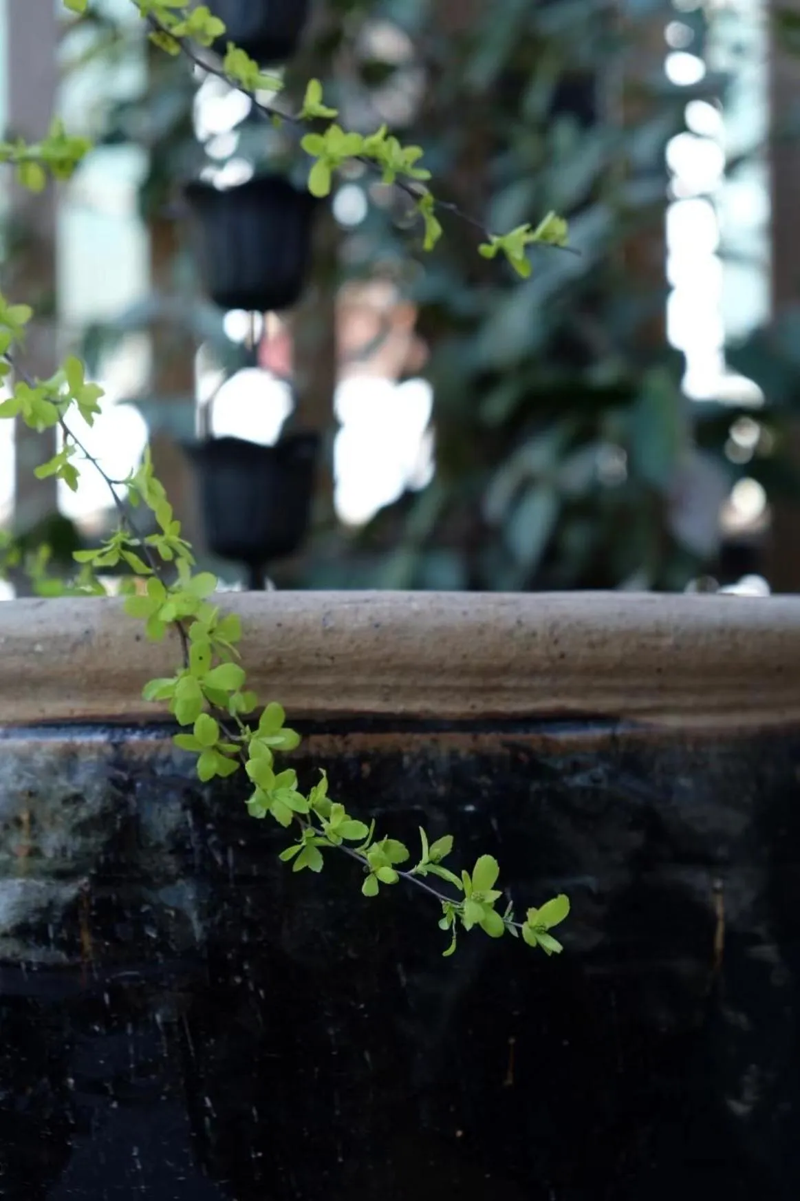 Natural landscape in Hantang Inn Hostel Xi'an