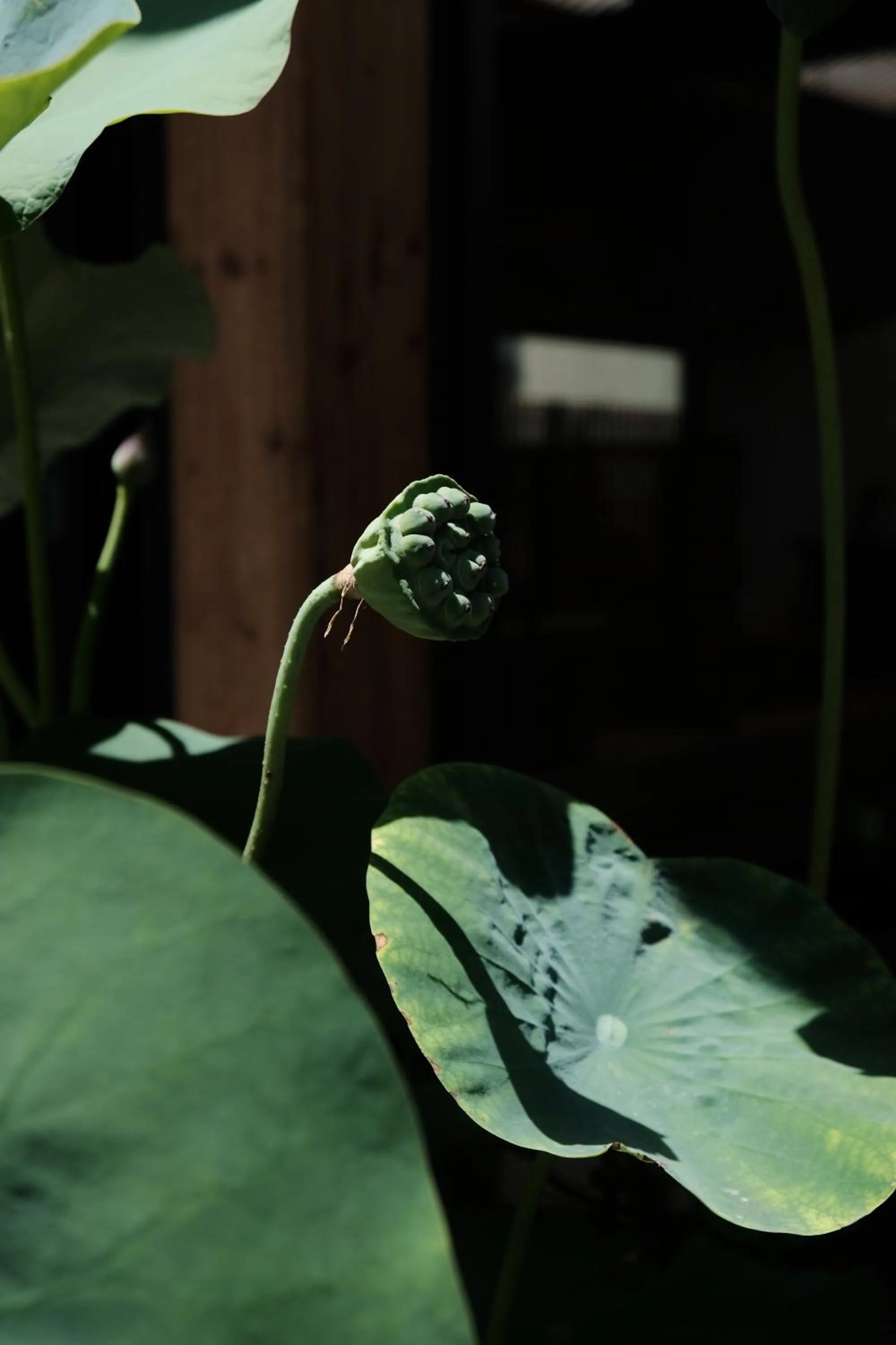 Patio in Hantang Inn Hostel Xi'an