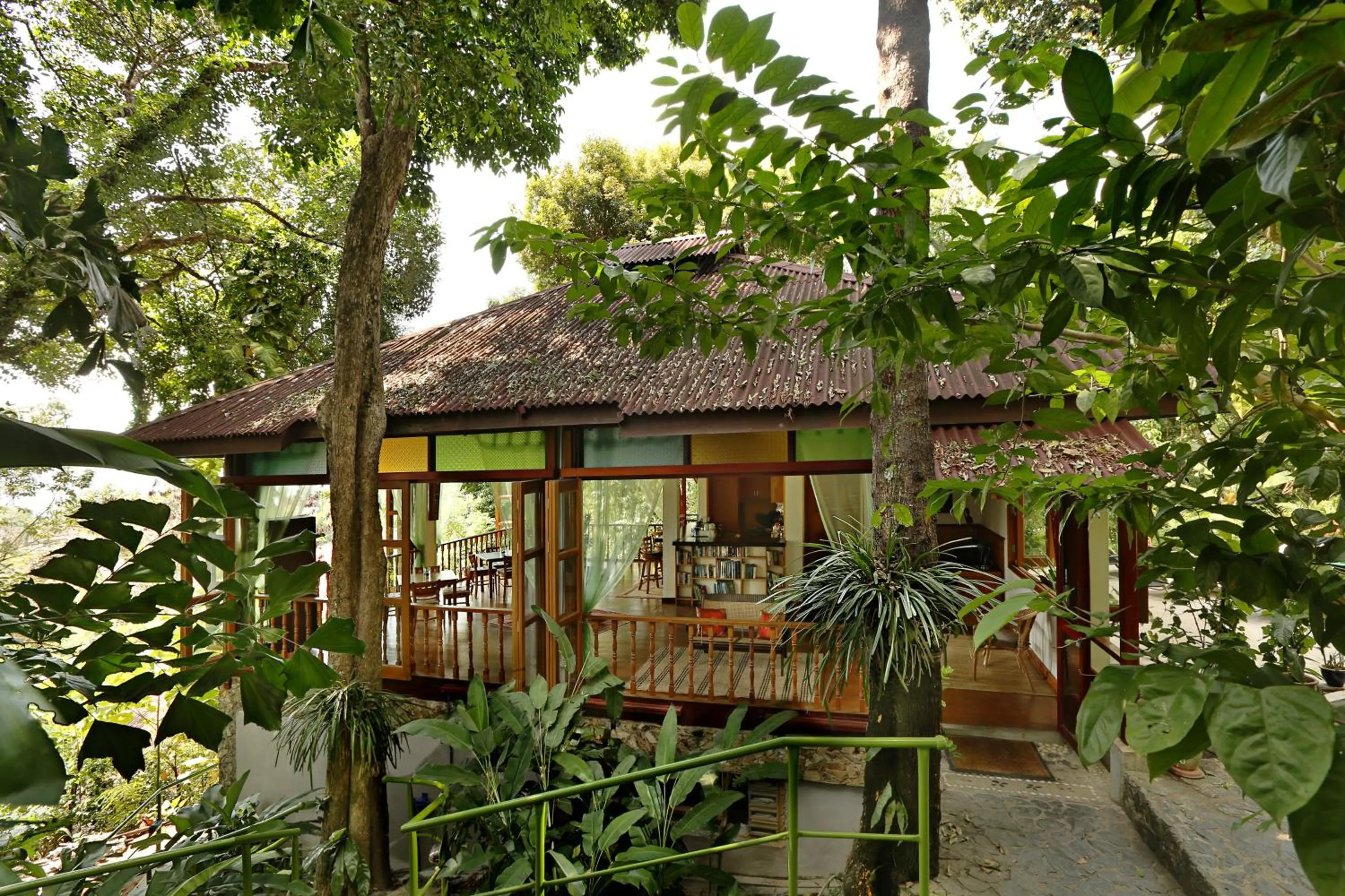 Natural landscape in Ambong Rainforest Retreat