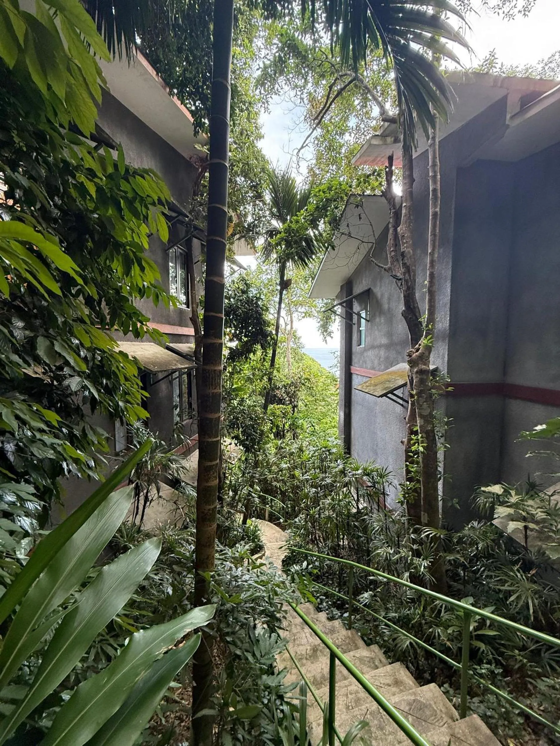 Property building in Ambong Rainforest Retreat