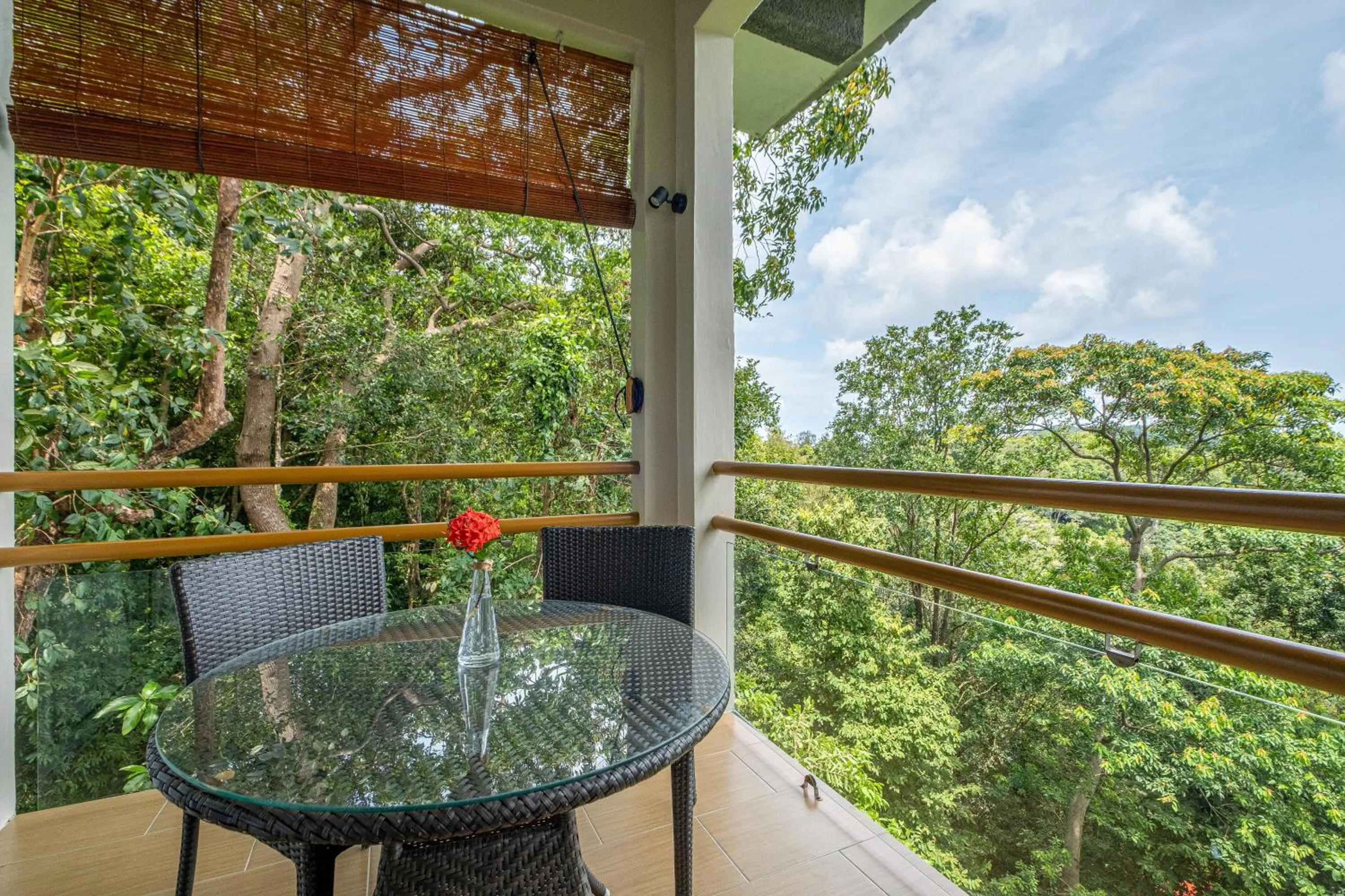 View (from property/room) in Ambong Rainforest Retreat