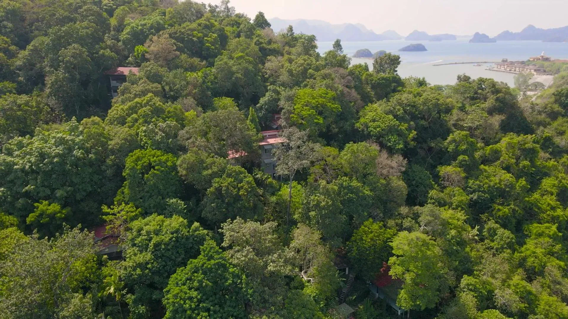 Natural landscape in Ambong Rainforest Retreat