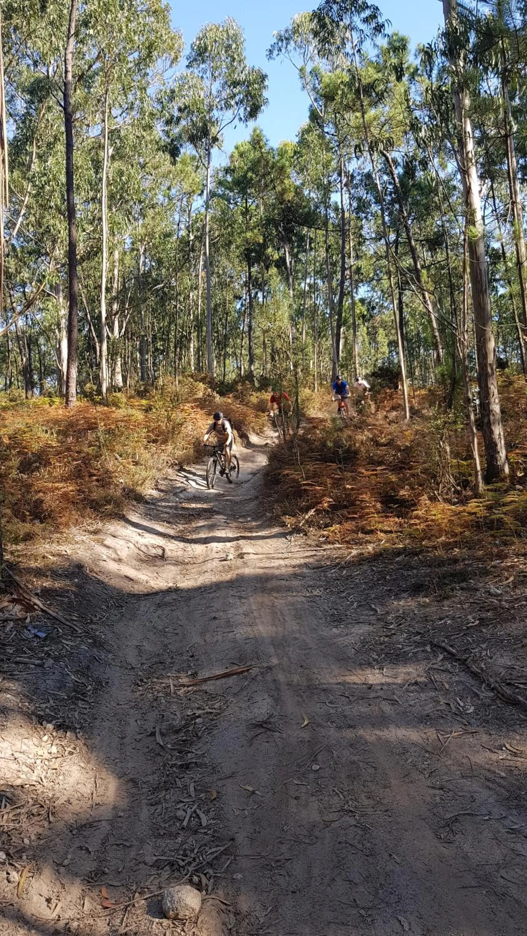 Cycling in InnEsposende Sports Hostel