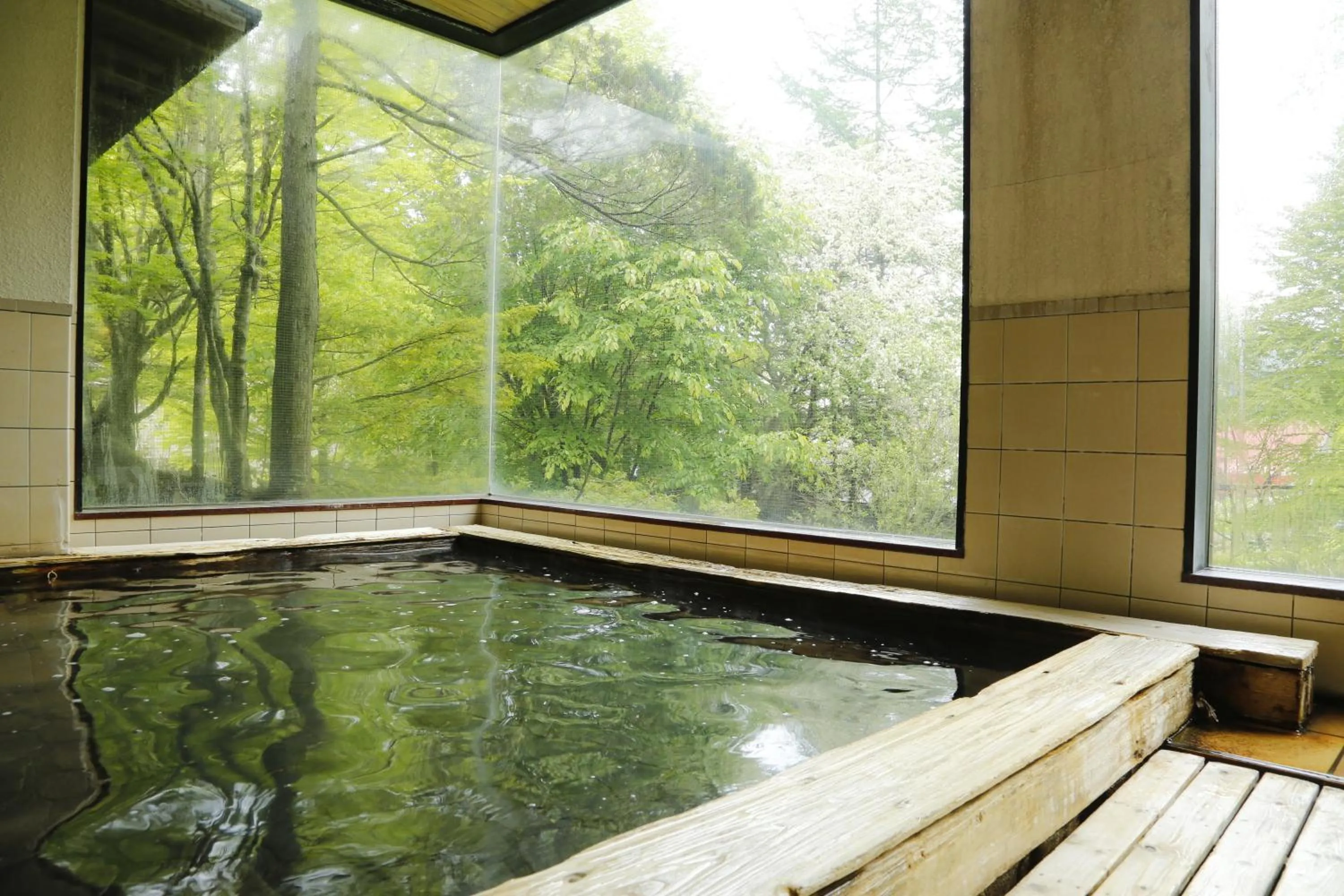 Hot Spring Bath in Matsunoi