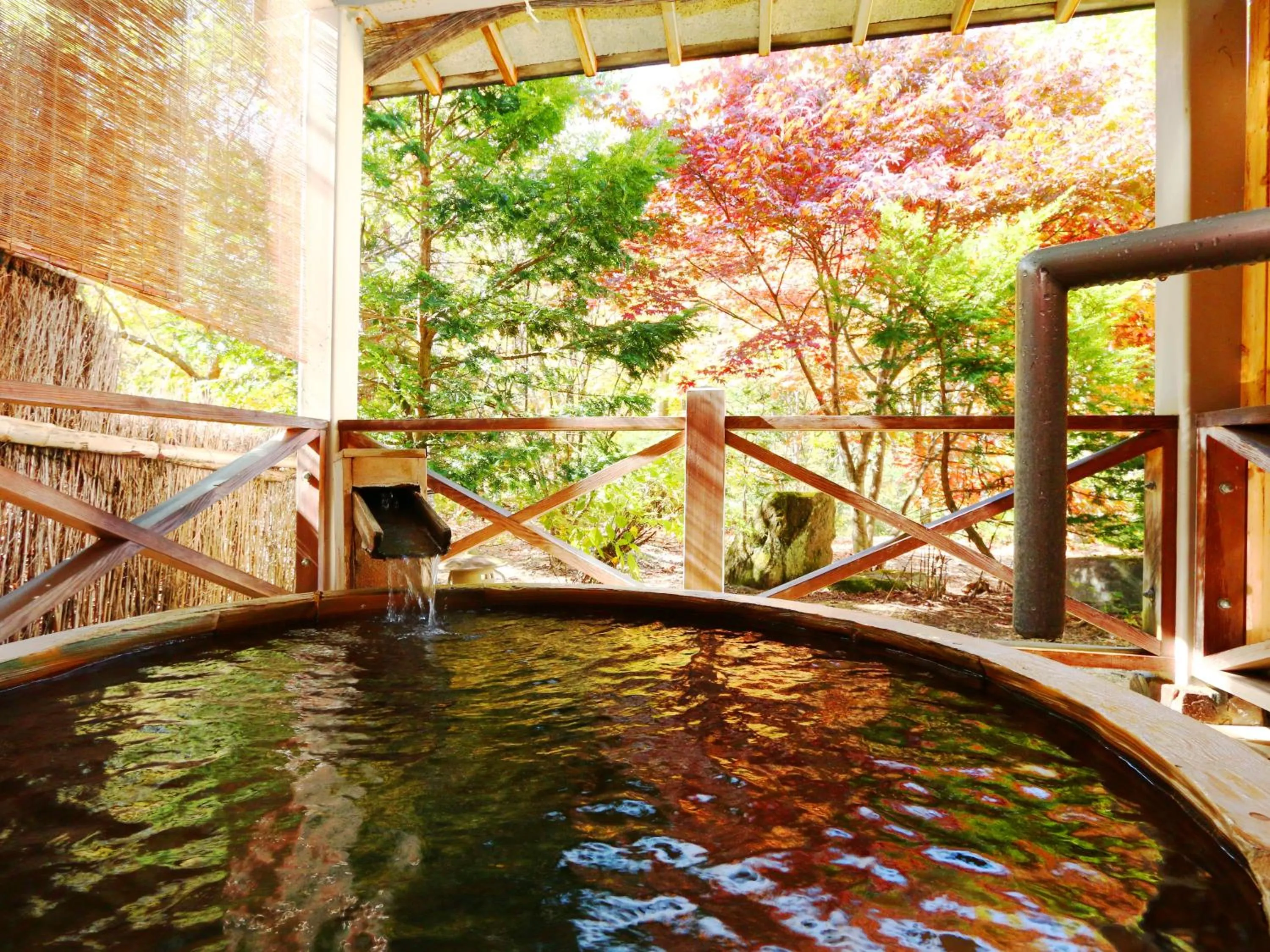 Hot Spring Bath in Matsunoi