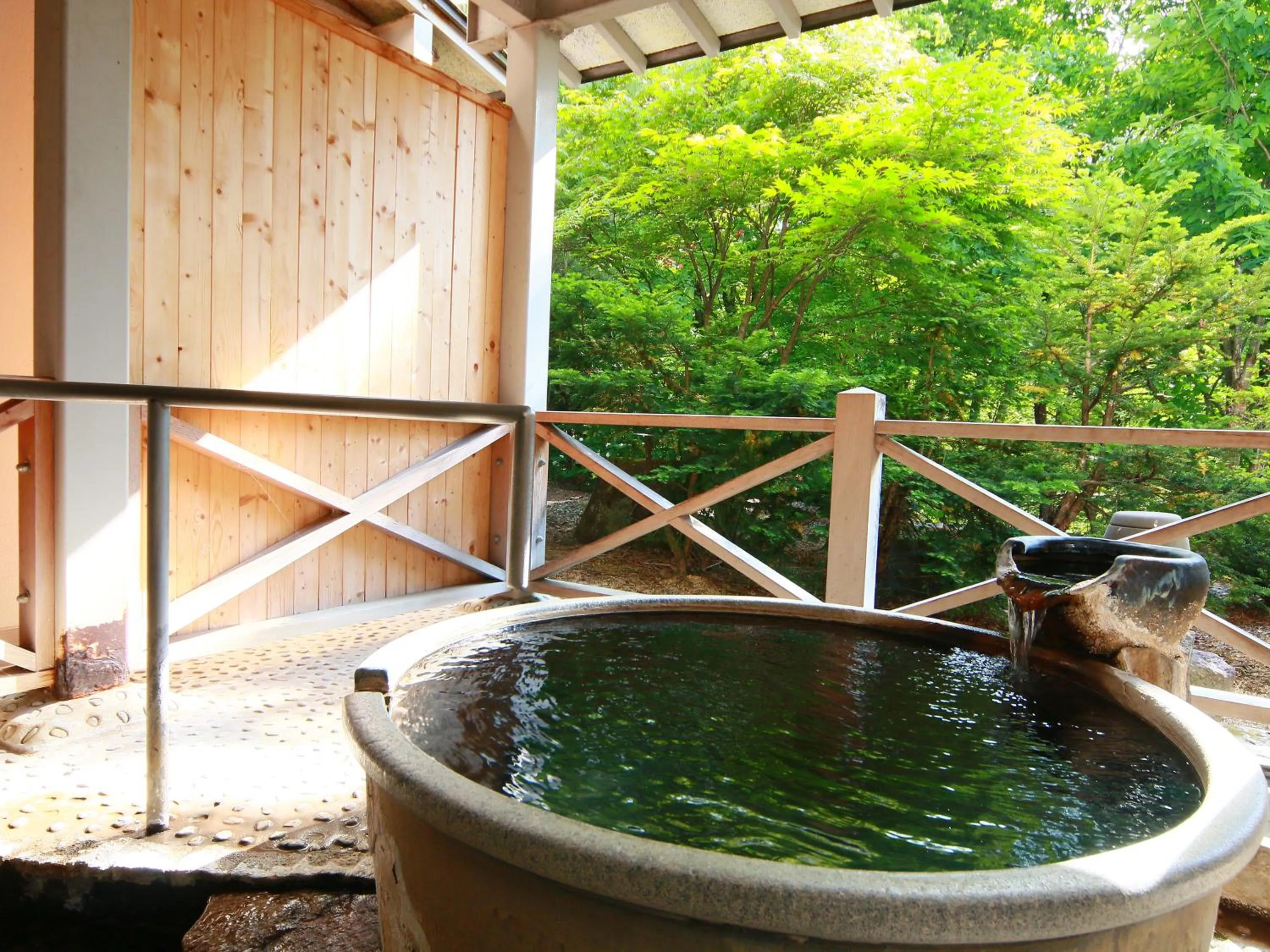 Hot Spring Bath in Matsunoi